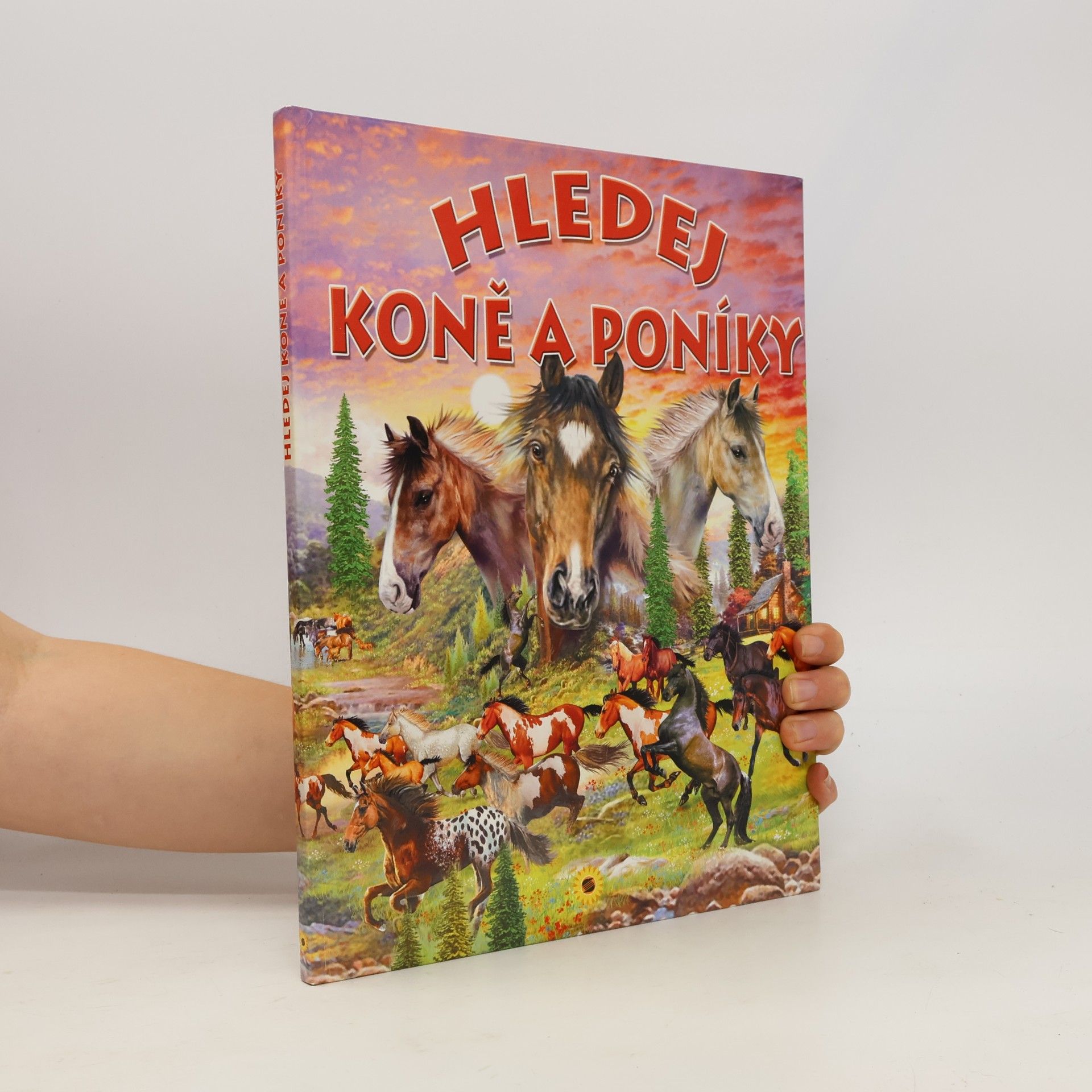 Francisco Arredondo Hledej koně a poníky