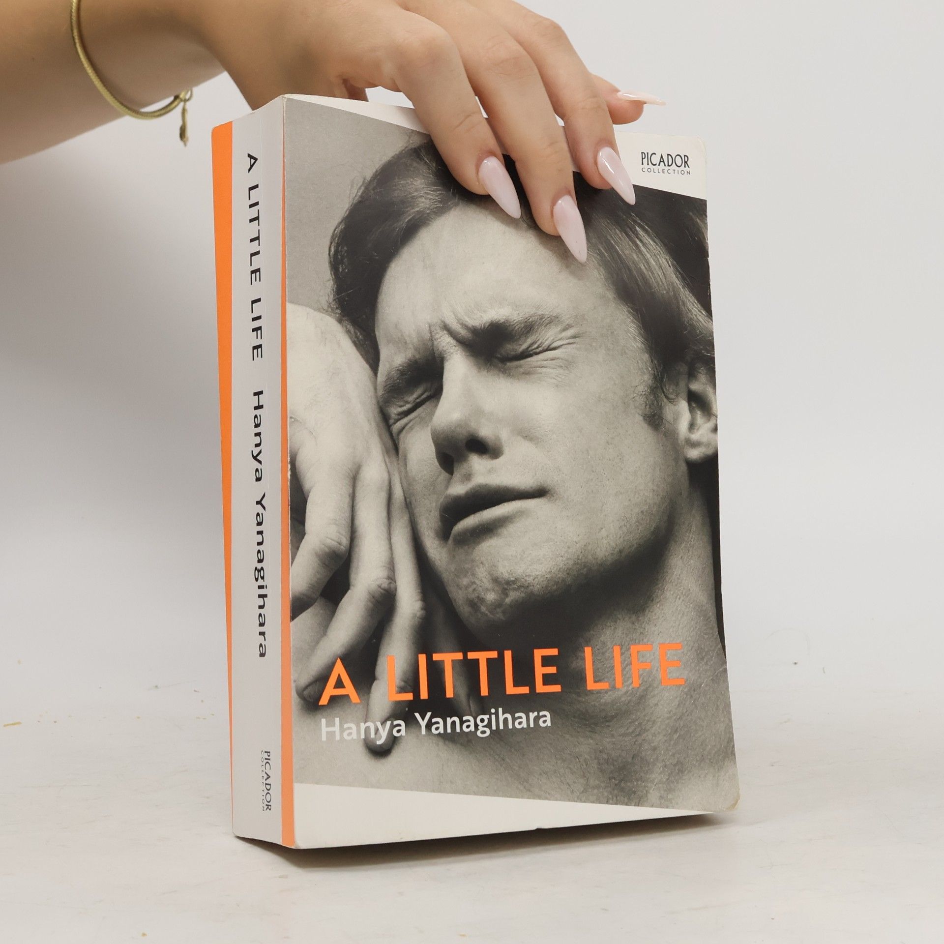 Hanya Yanagihara A Little Life