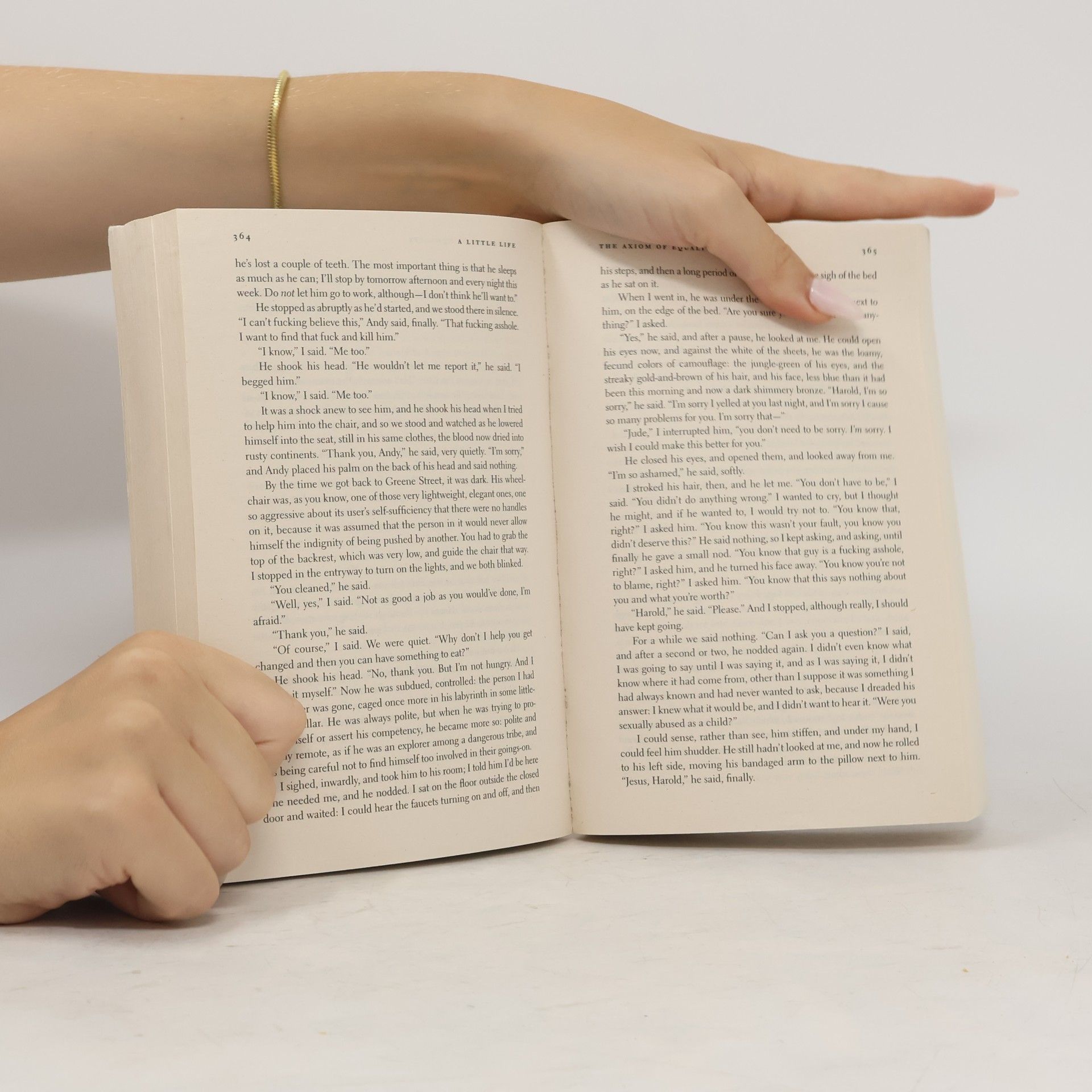Hanya Yanagihara A Little Life