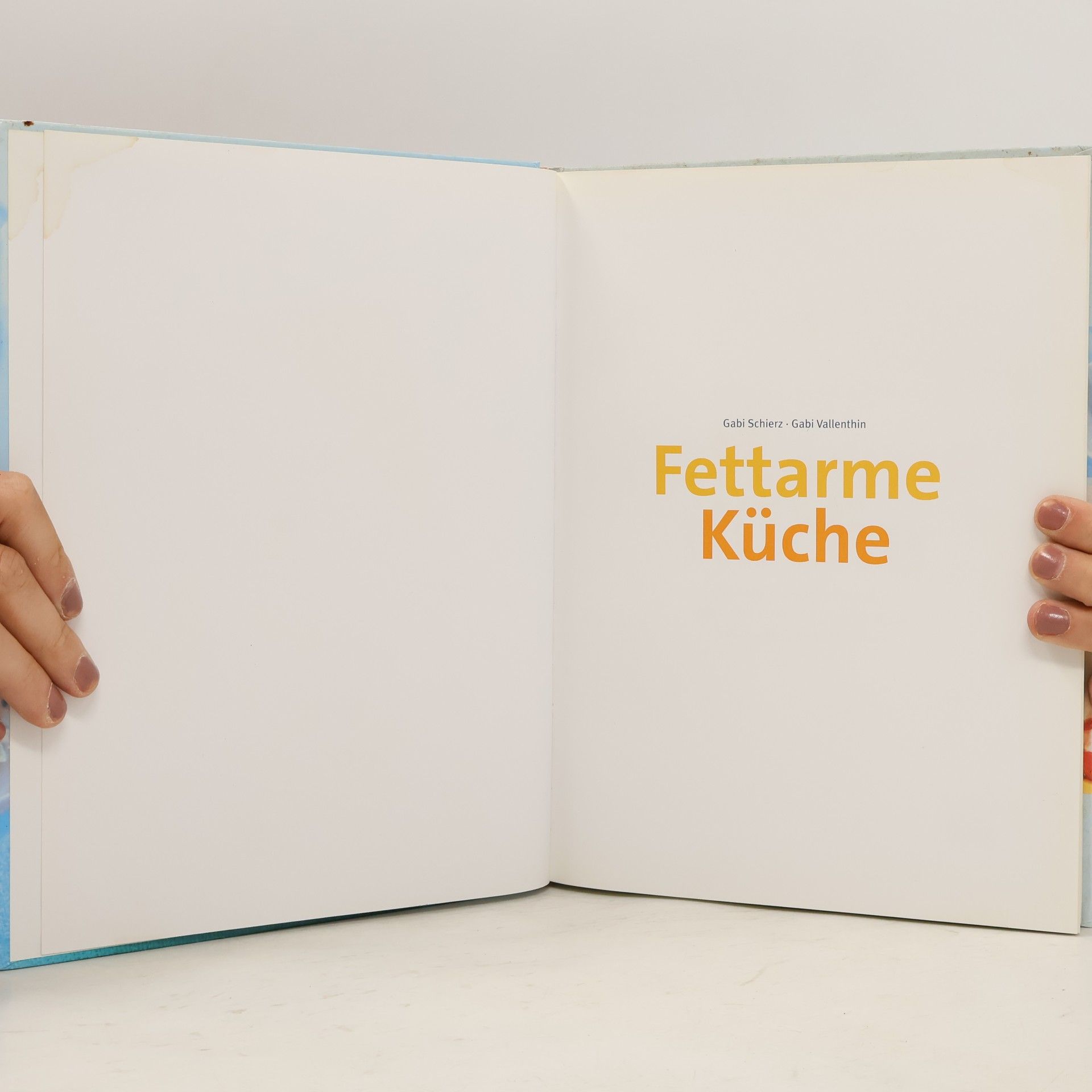 Gabi Schierz Fettarme Küche