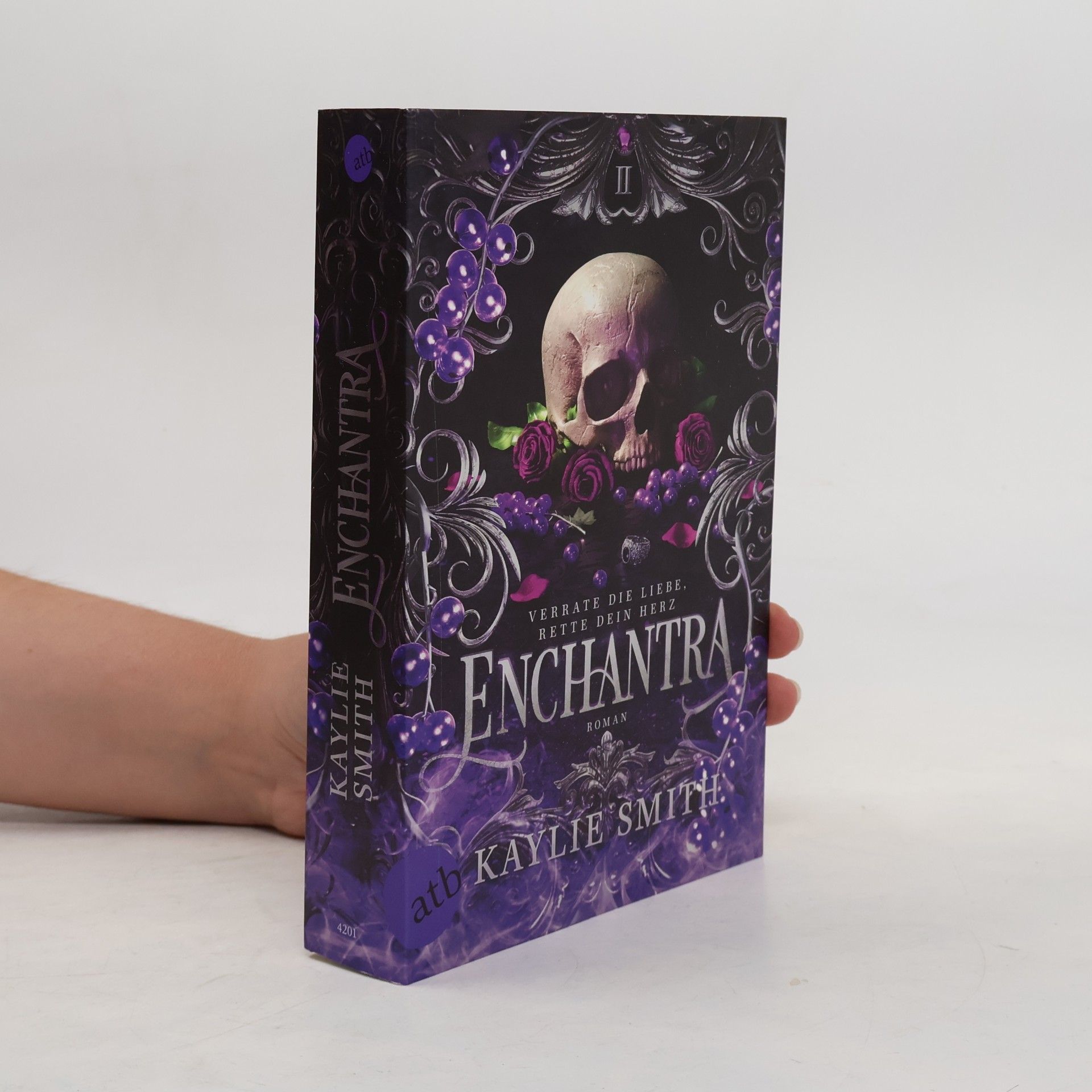 Kaylie Smith Enchantra – Verrate die Liebe, rette dein Herz