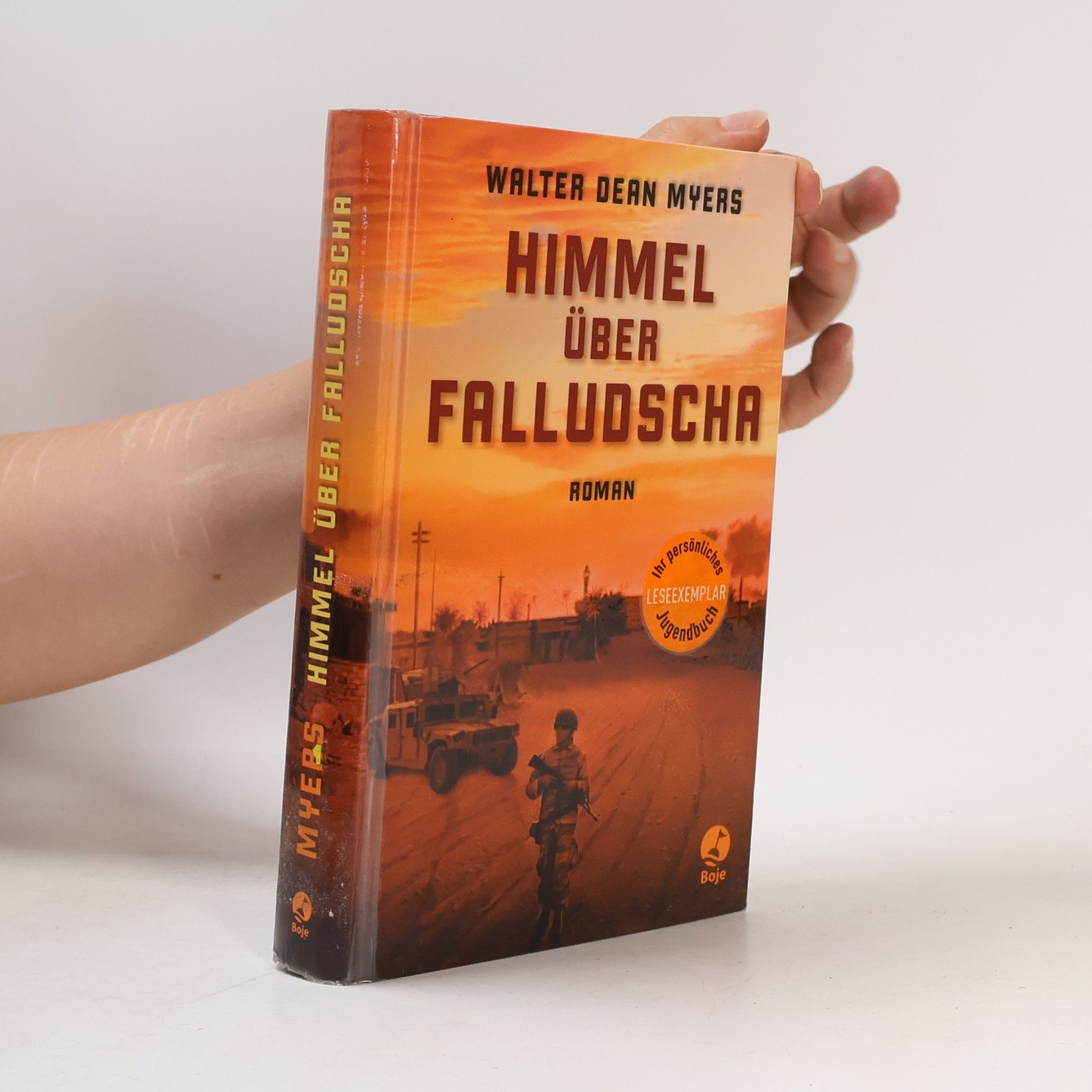Walter Dean Myers Himmel über Falludscha