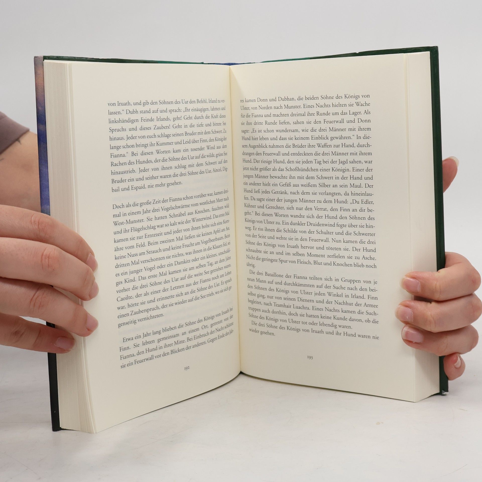 Isabella Augusta Gregory Das große Buch der irischen Mythen und Legenden