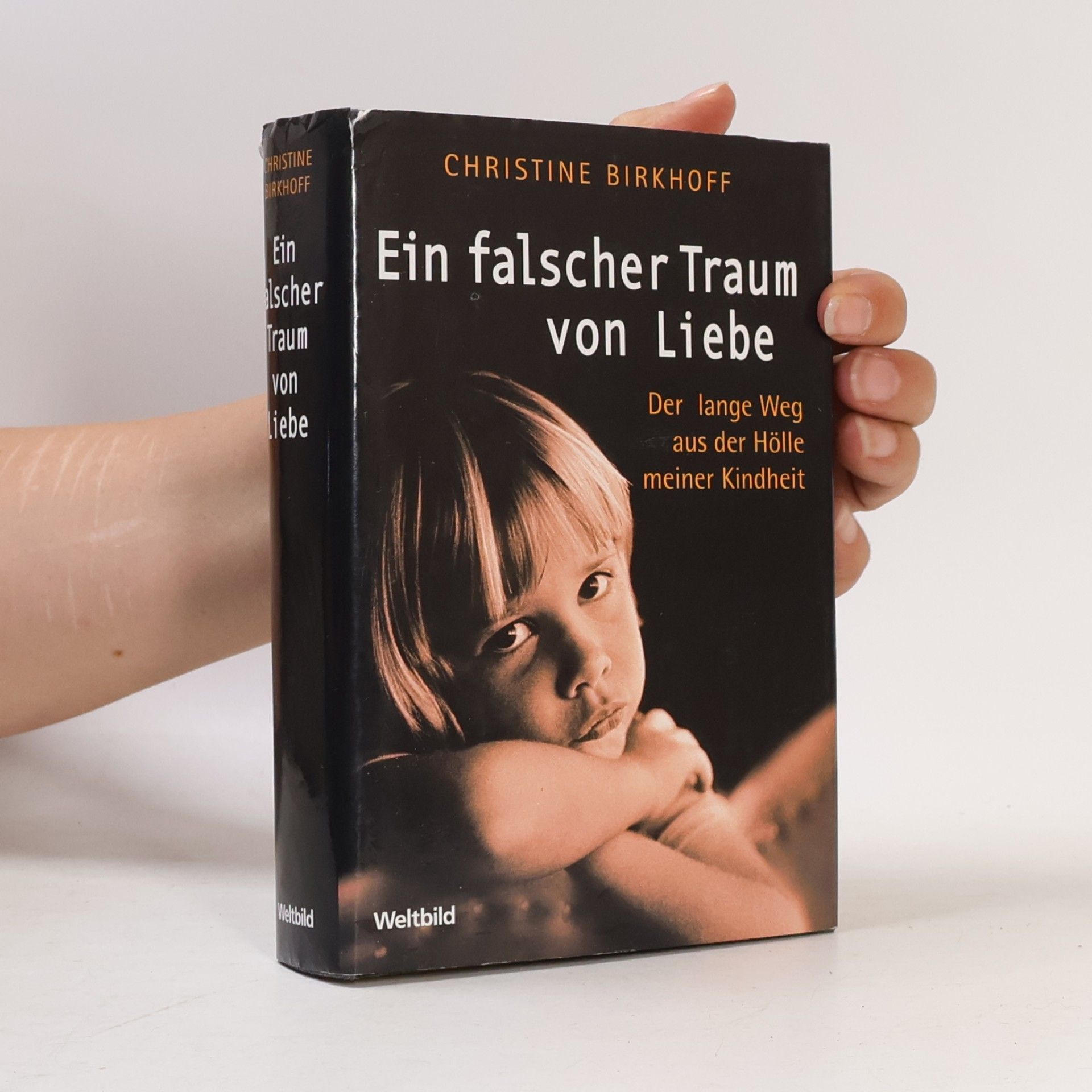 Christine Birkhoff Ein falscher Traum von Liebe