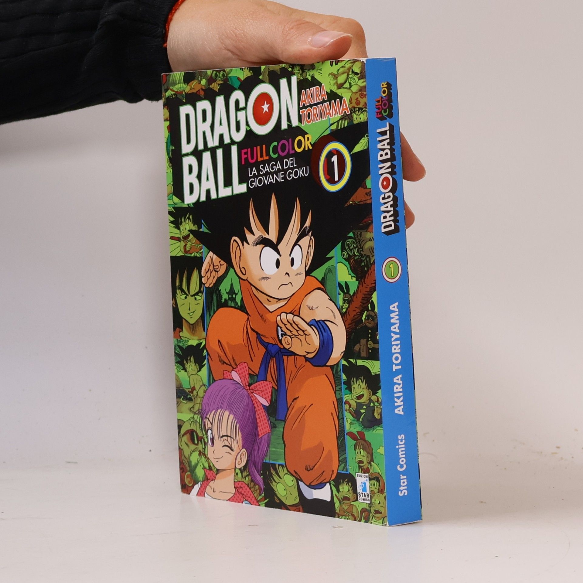 Michela Riminucci Dragon Ball Full Color
