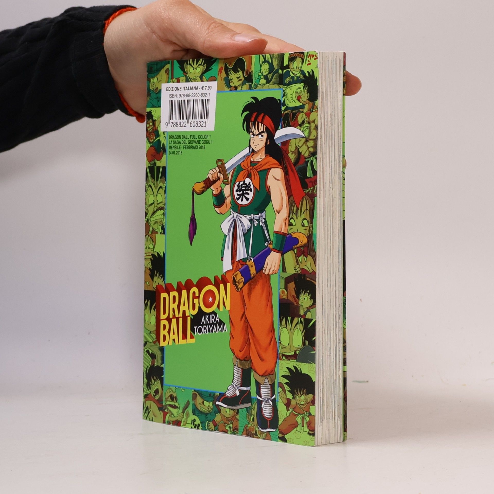 Michela Riminucci Dragon Ball Full Color