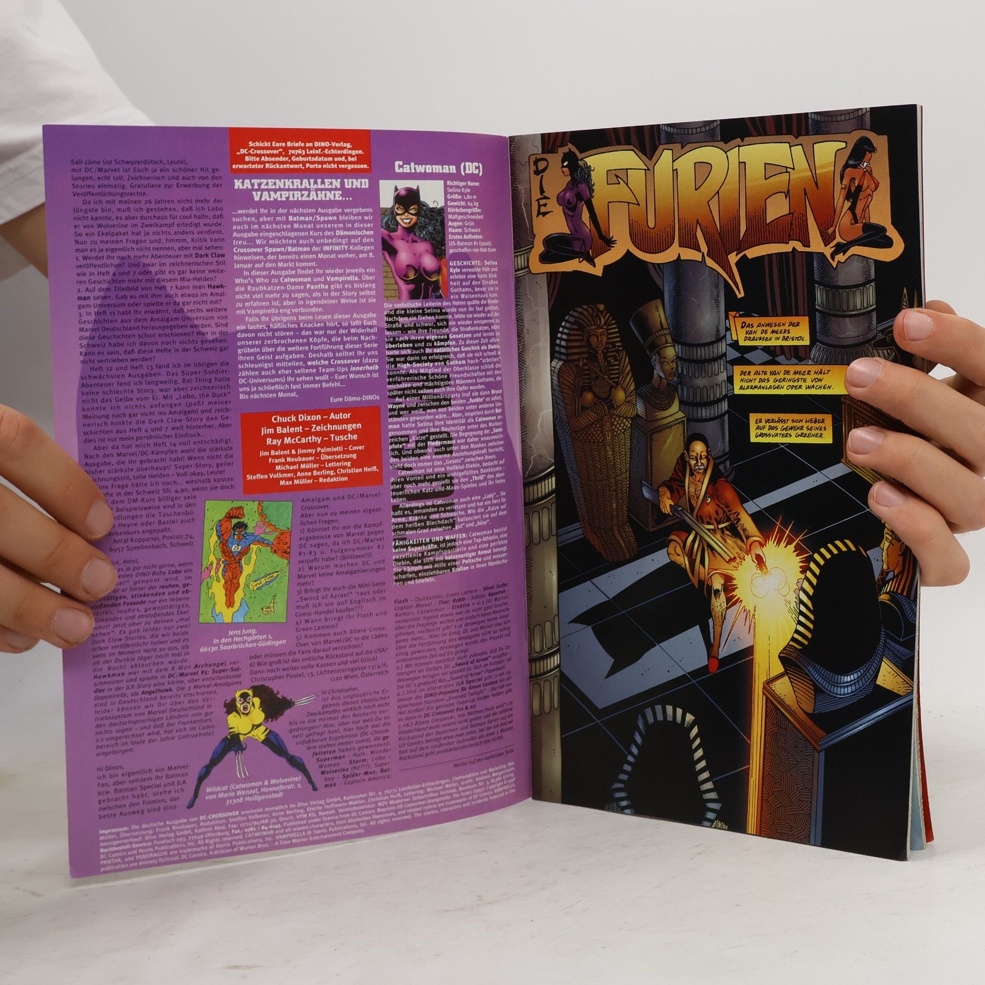 Autorenkollektiv DC-Crossover Nr. 17 Catwoman/Vampirella