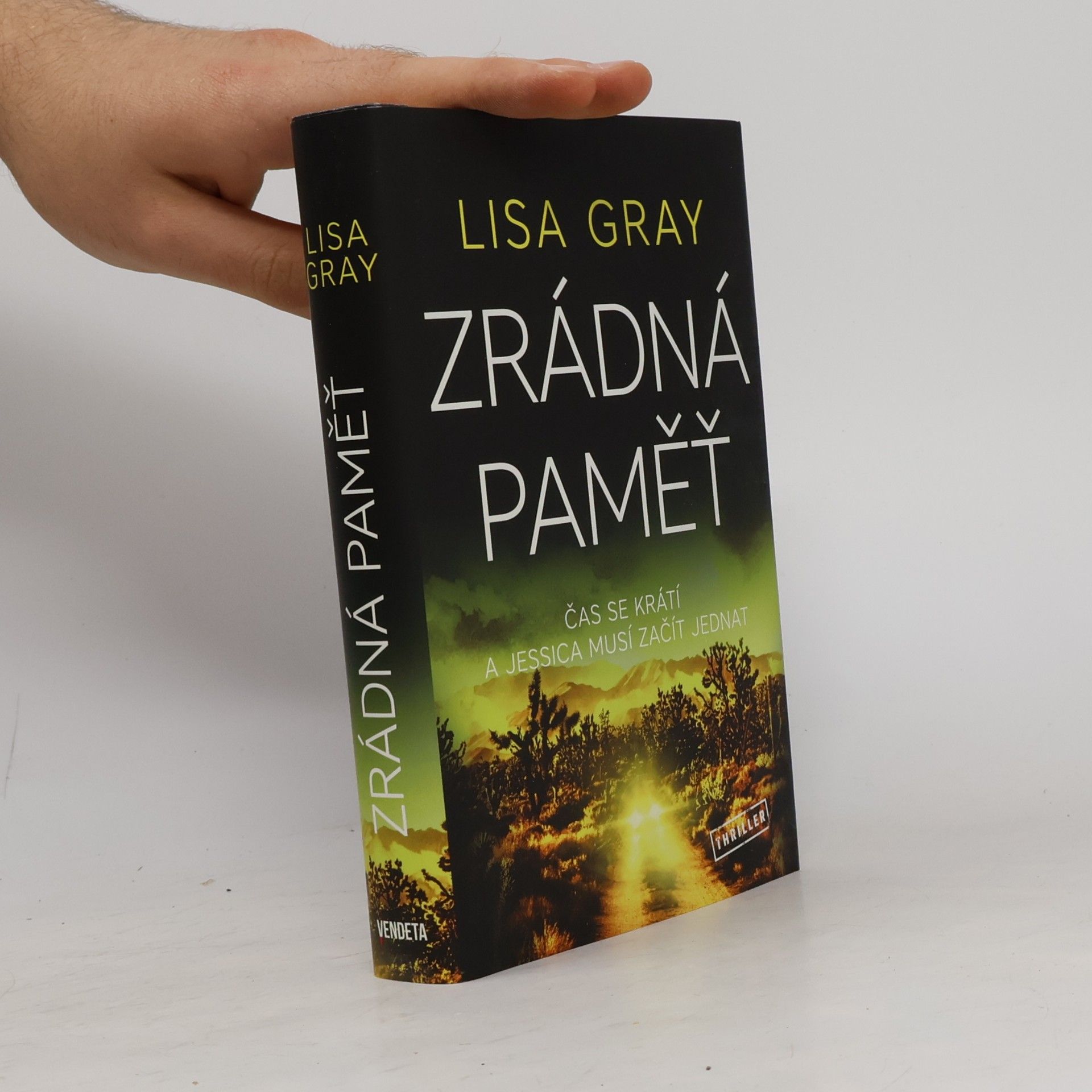 Lisa Gray Zrádná paměť