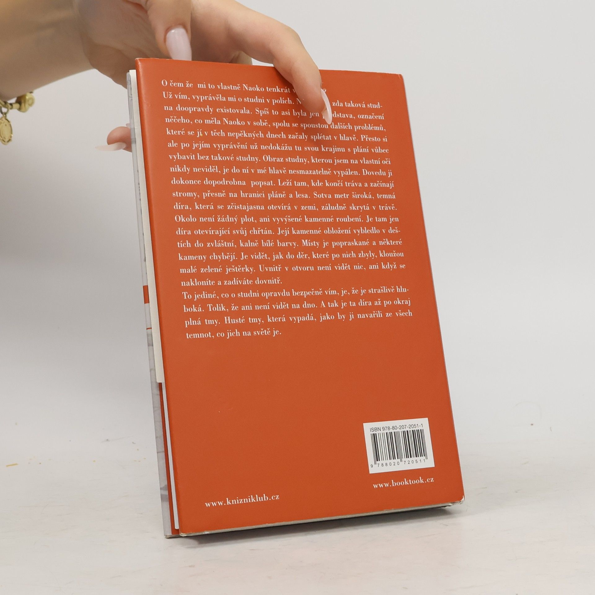 Haruki Murakami Norské dřevo