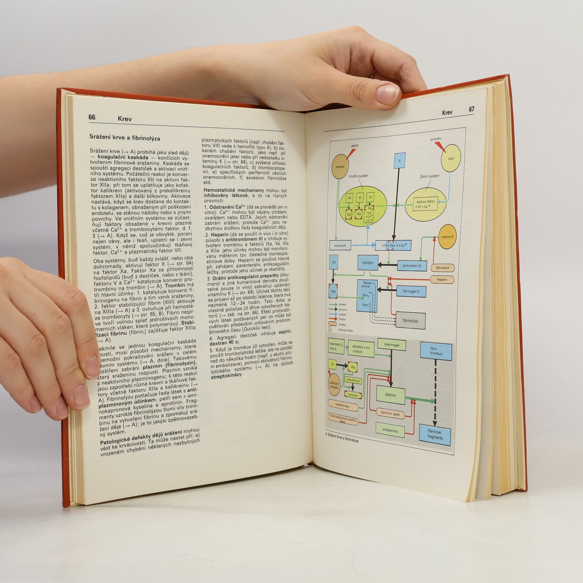 Stefan Silbernagl Atlas fyziologie člověka