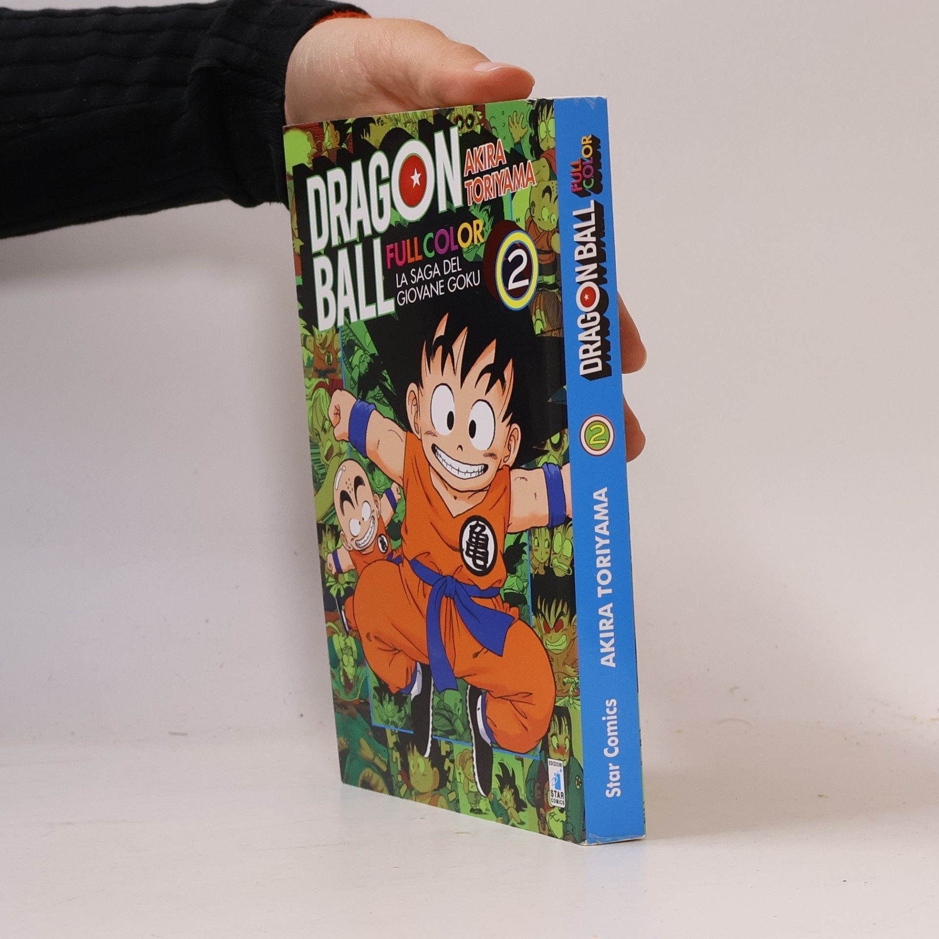 Michela Riminucci Dragon Ball Full Color