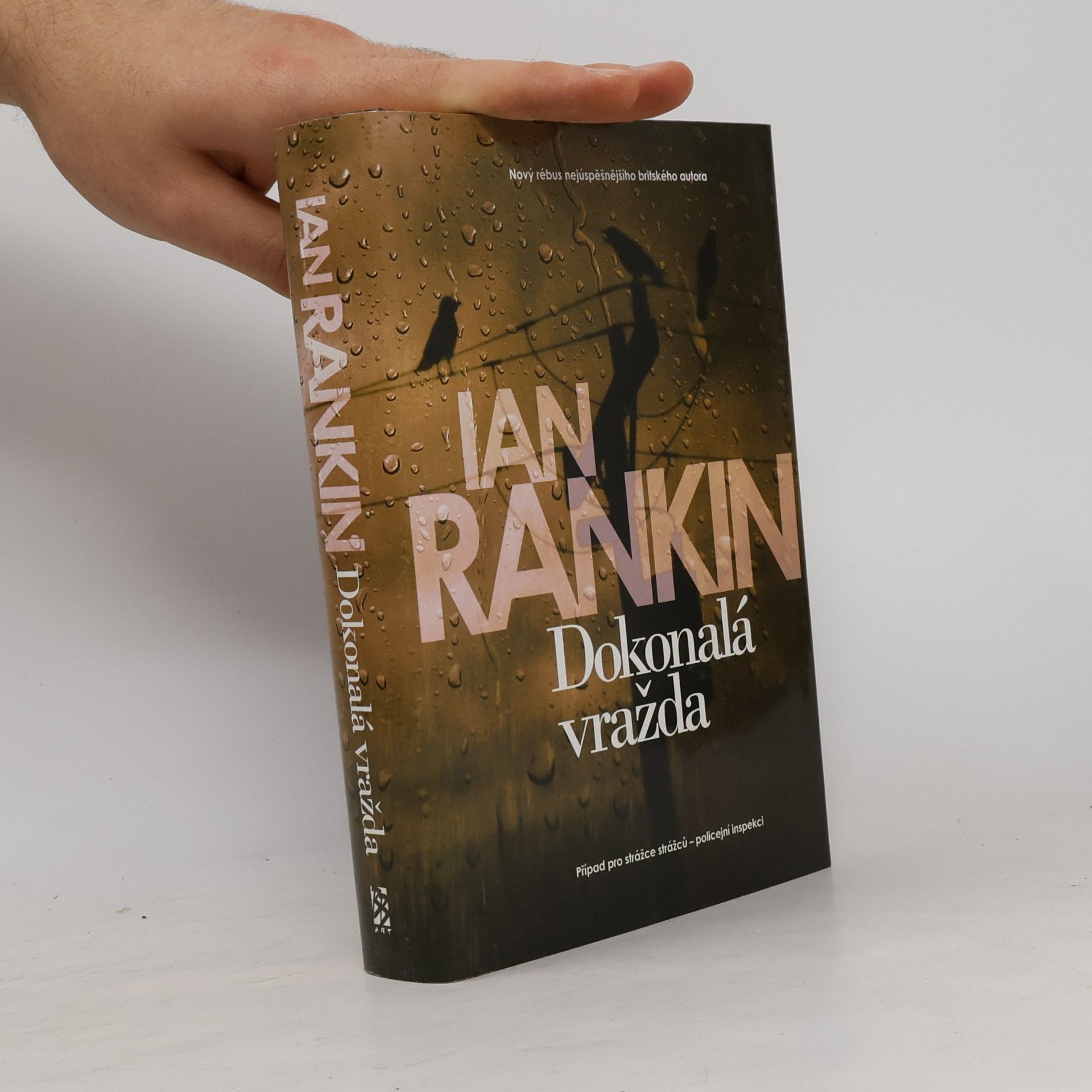 Ian Rankin Dokonalá vražda