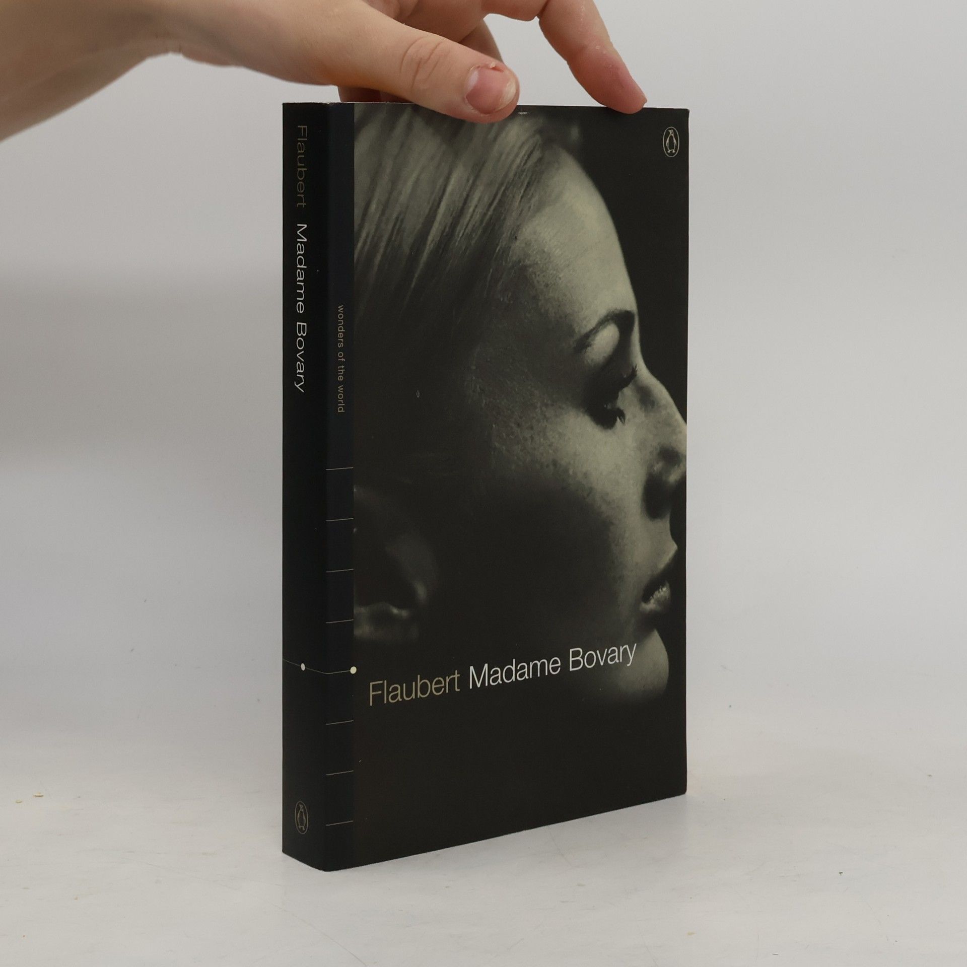 Gustave Flaubert Wonders of the World: Madame Bovary
