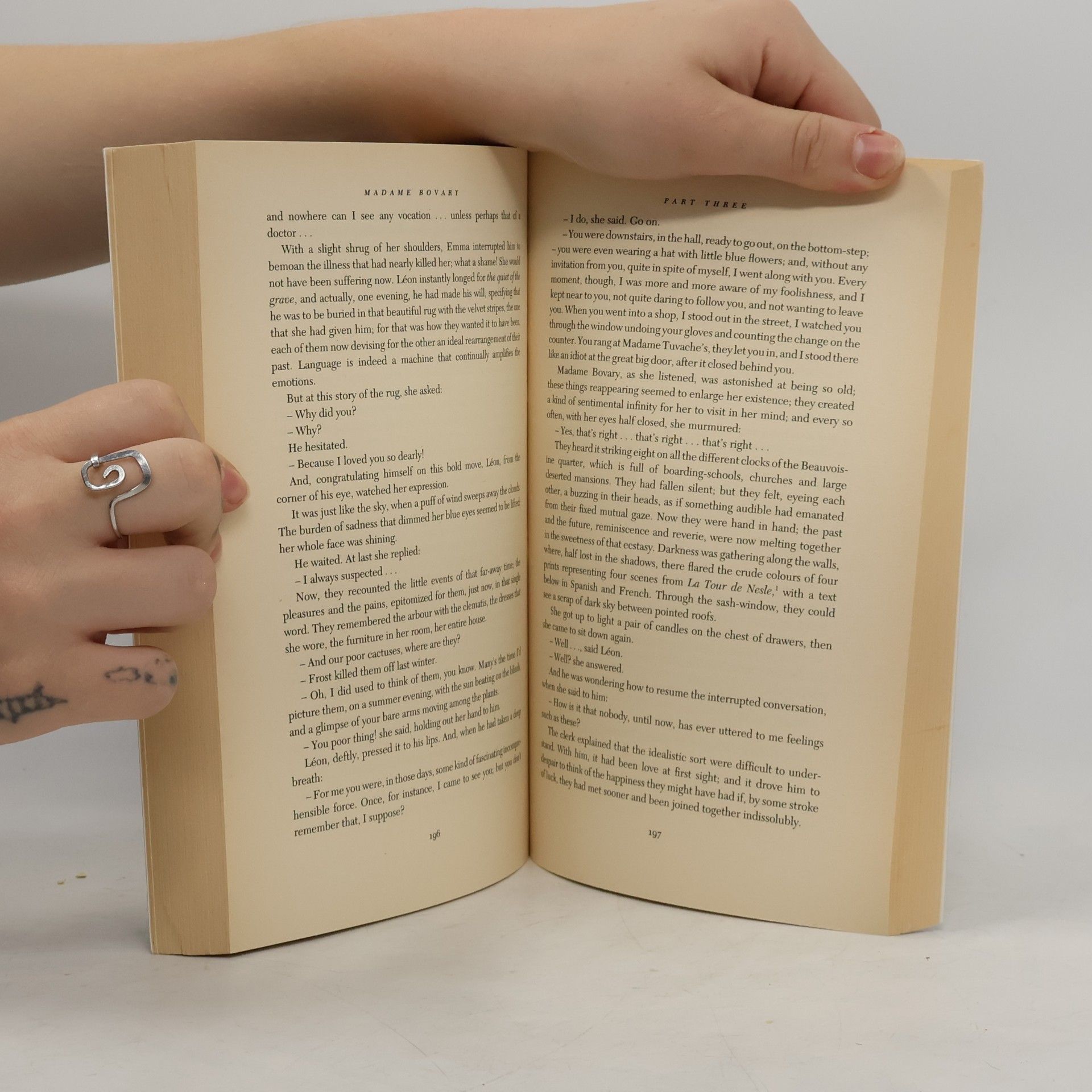 Gustave Flaubert Wonders of the World: Madame Bovary