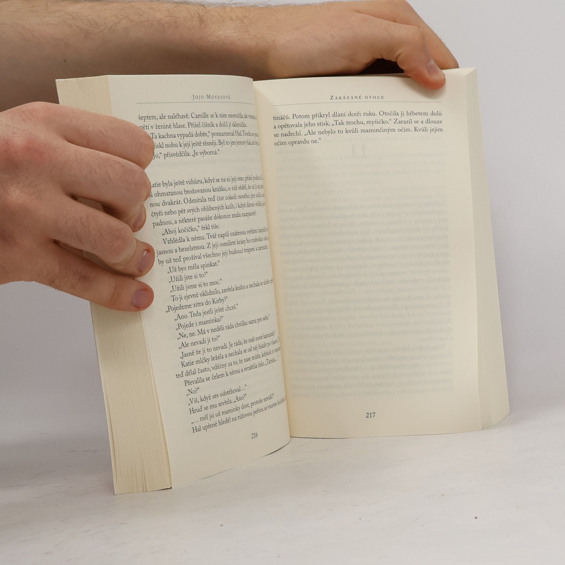 Jojo Moyes Zakázané ovoce