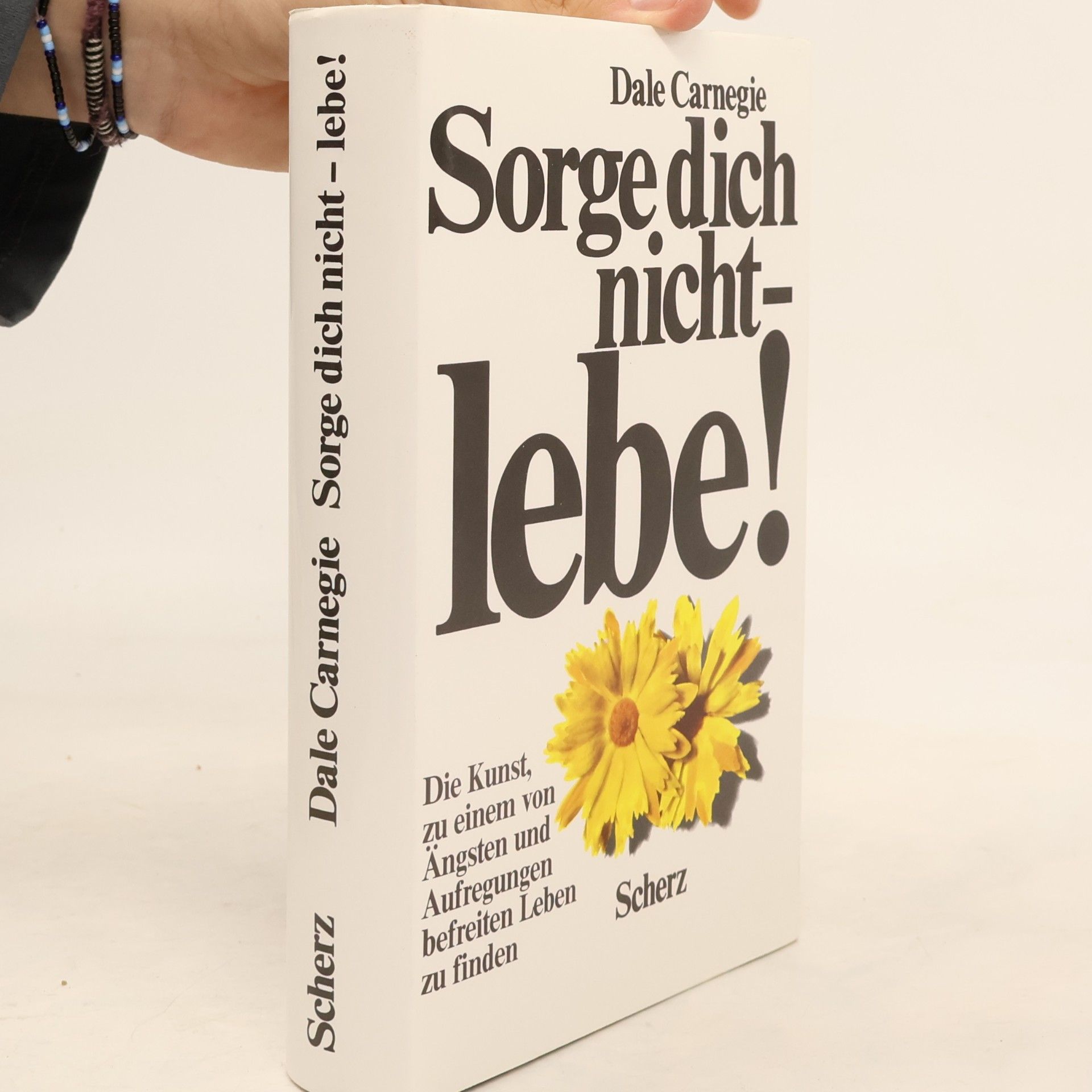 Dale Carnegie Sorge dich nicht - lebe!