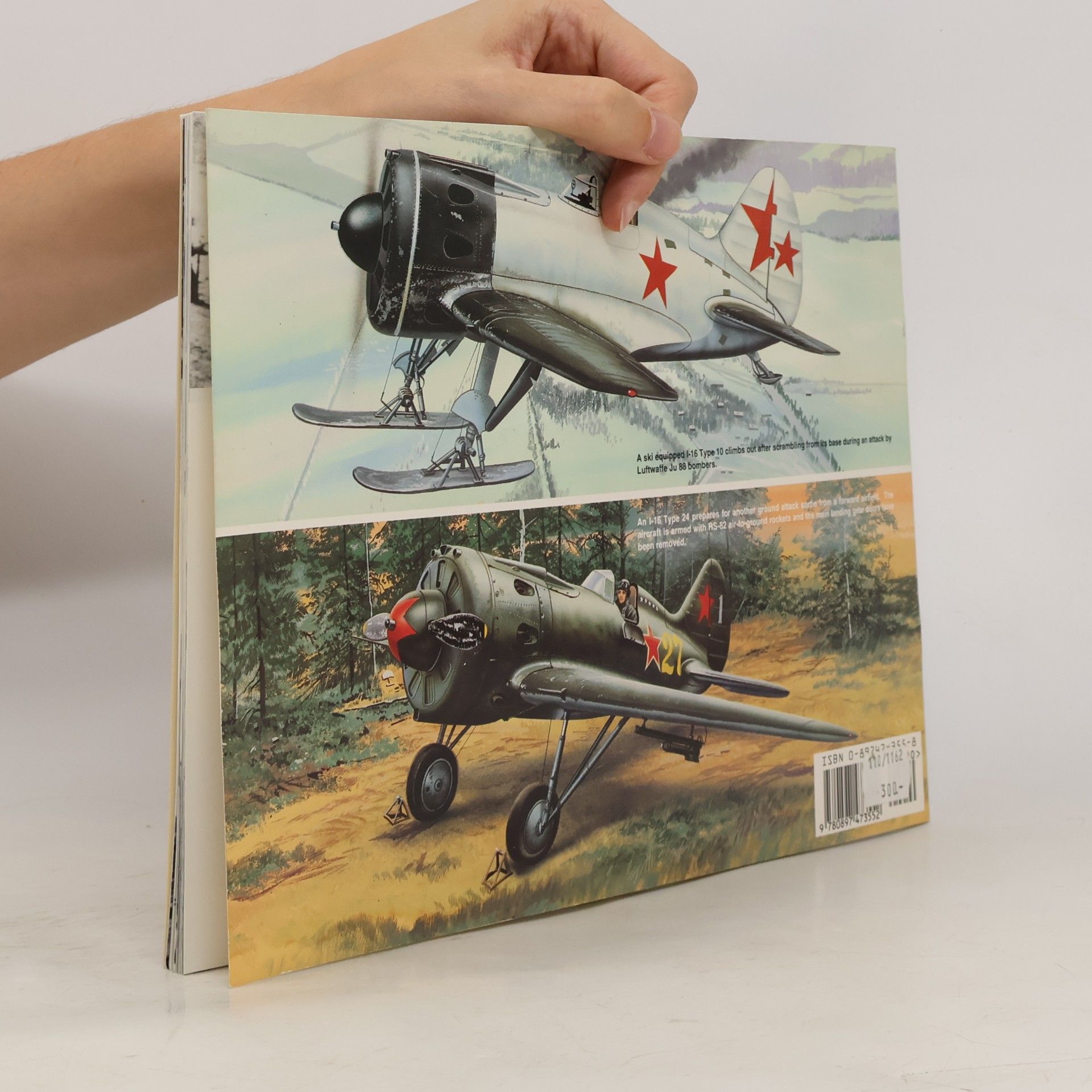 Joe Sewell Polikarpov Fighters In Action