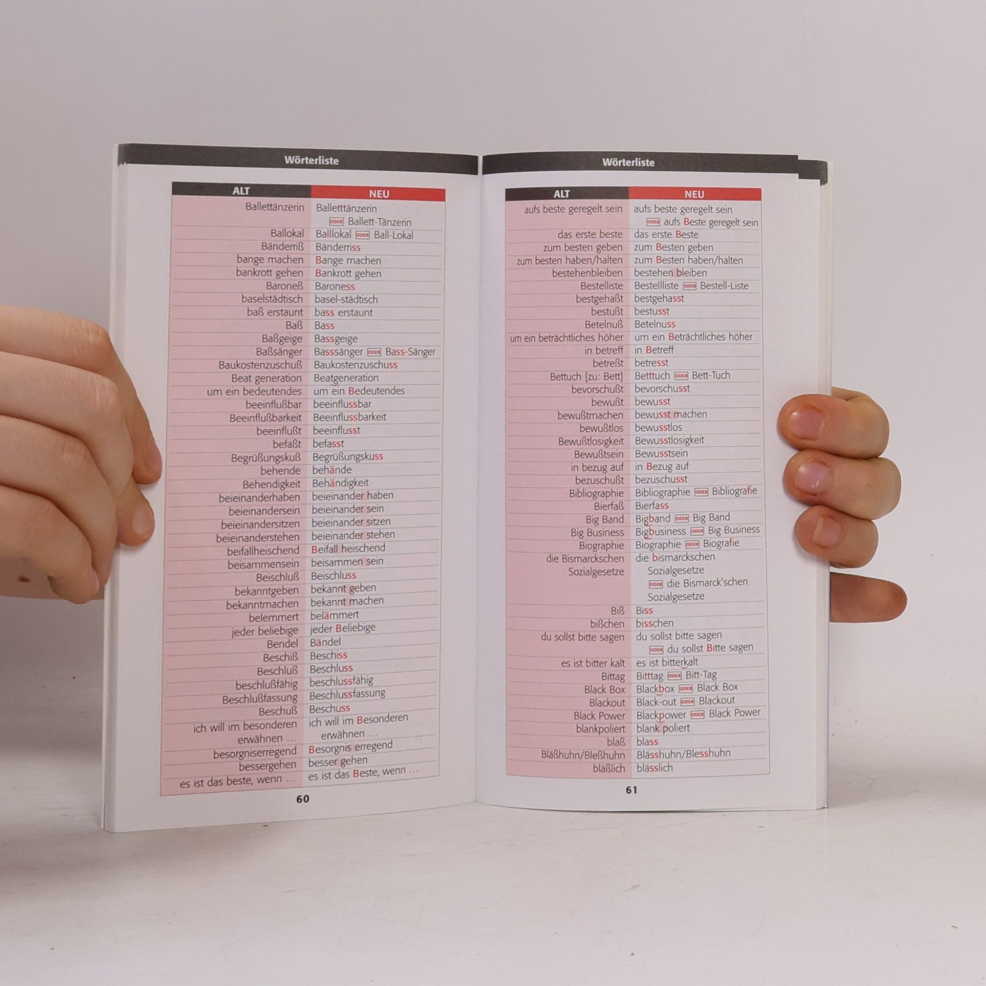 Autorenkollektiv Das 1x1 der deutschen Rechtschreibreform