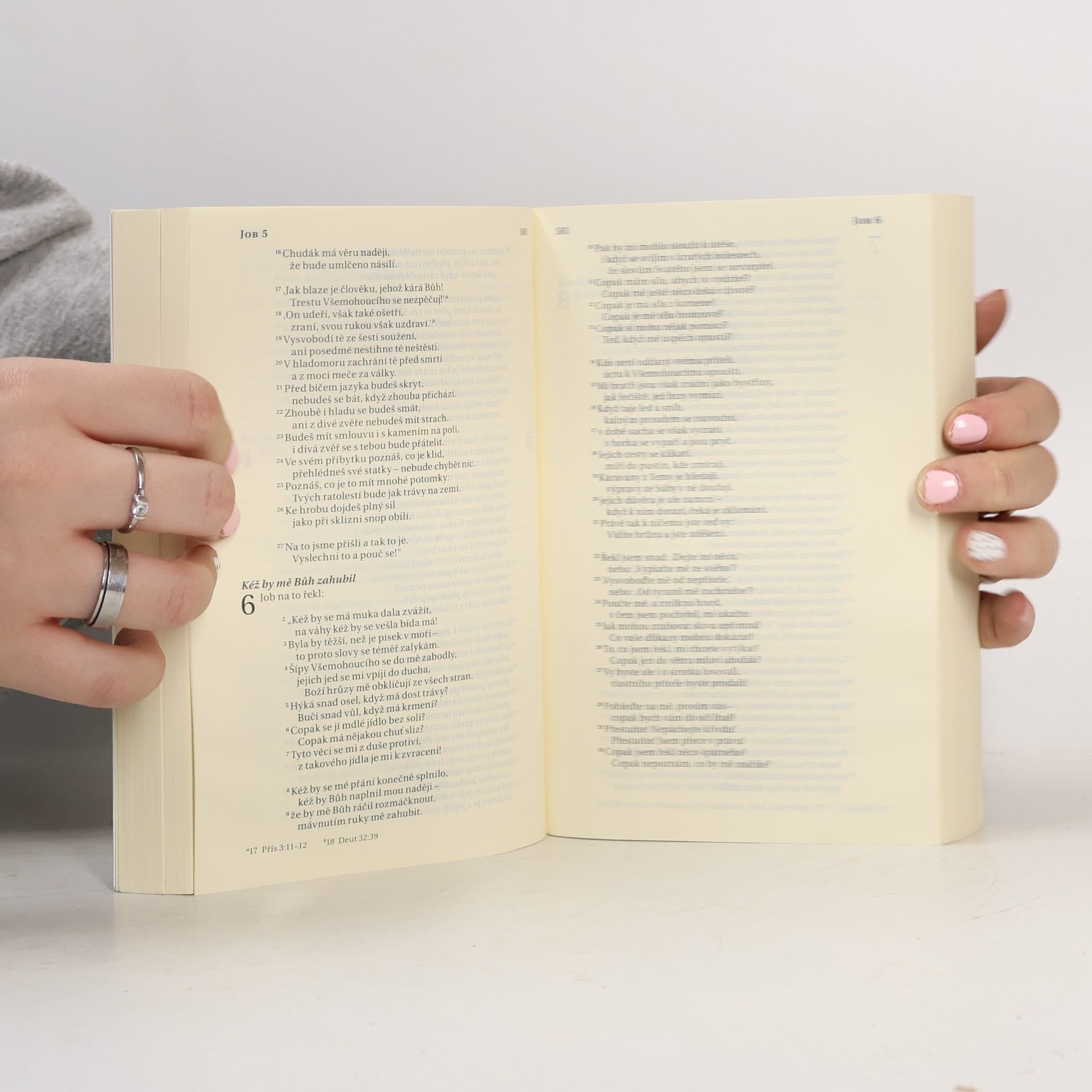 Autorenkollektiv Bible : překlad 21. století