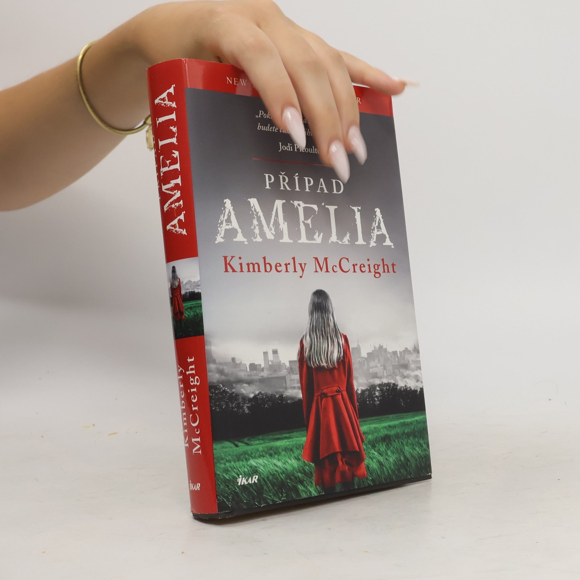 Kimberly McCreight Případ Amelia