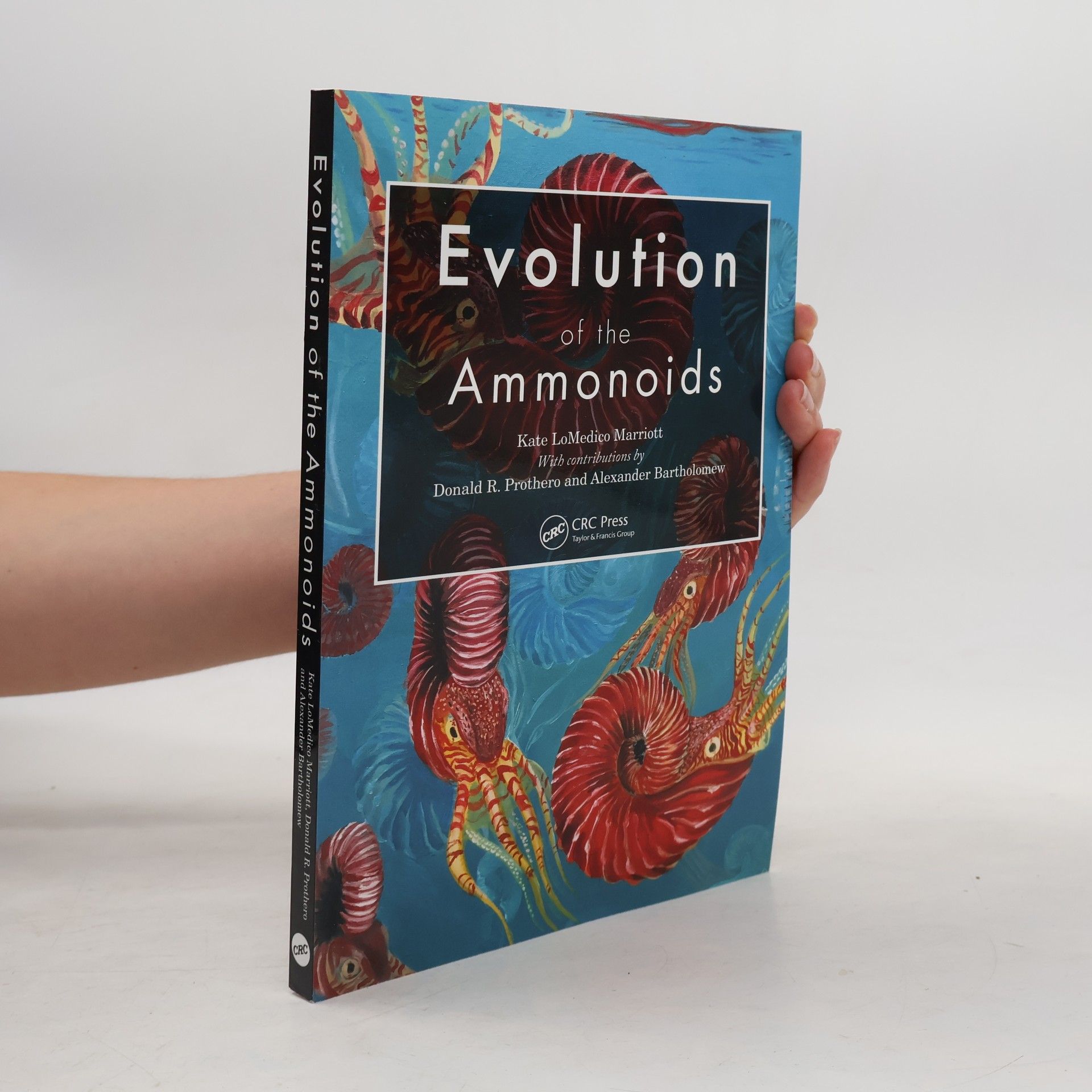 Kate LoMedico Marriott Evolution of the Ammonoids