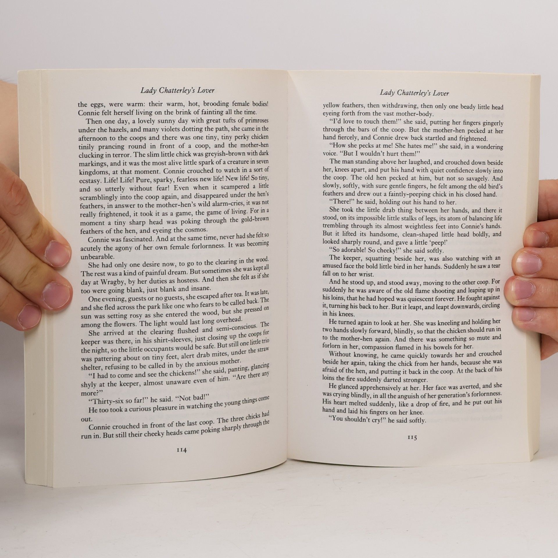 D. H. Lawrence Lady Chatterley's Lover