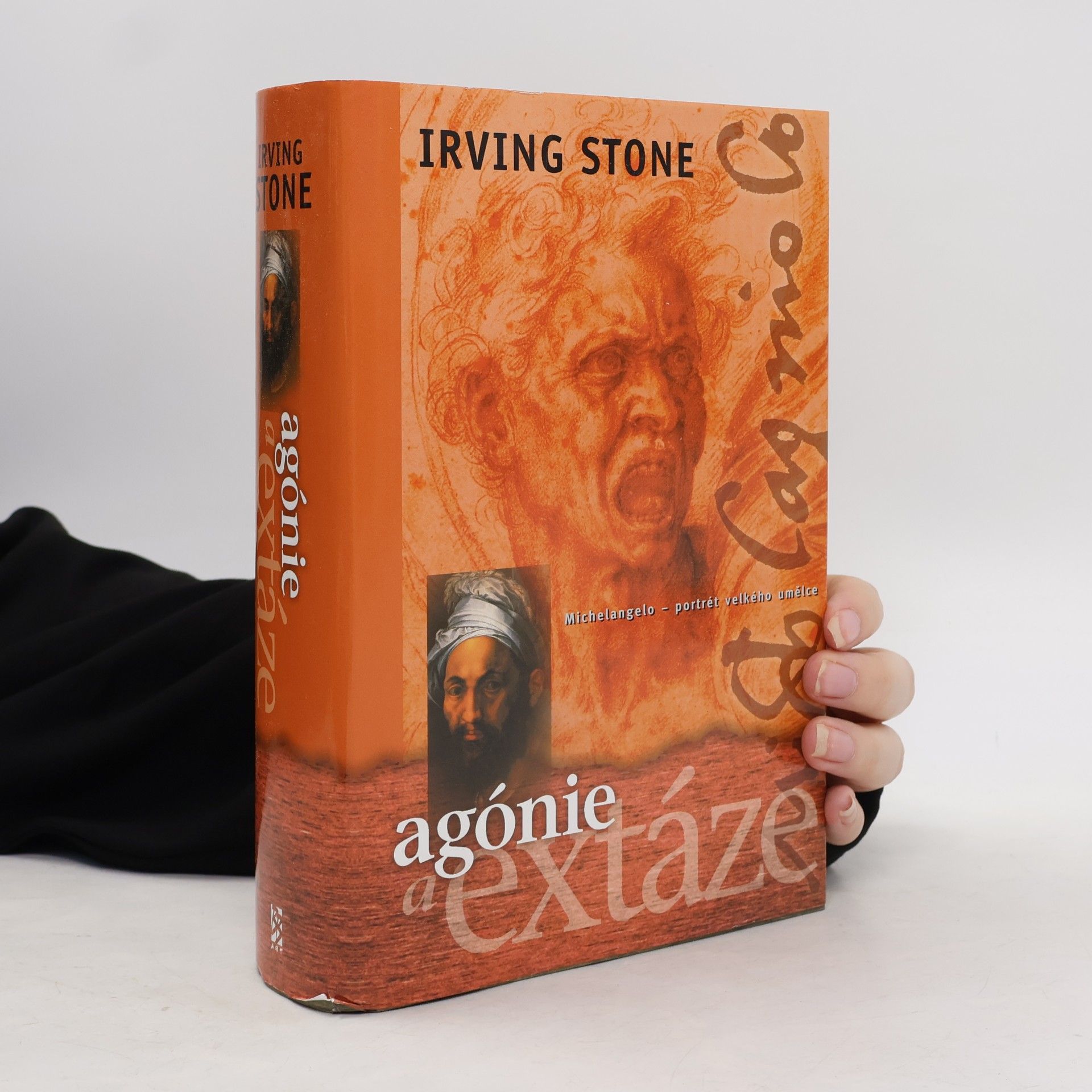 Irving Stone Agónie a extáze. Životopisný román o Michelangelovi