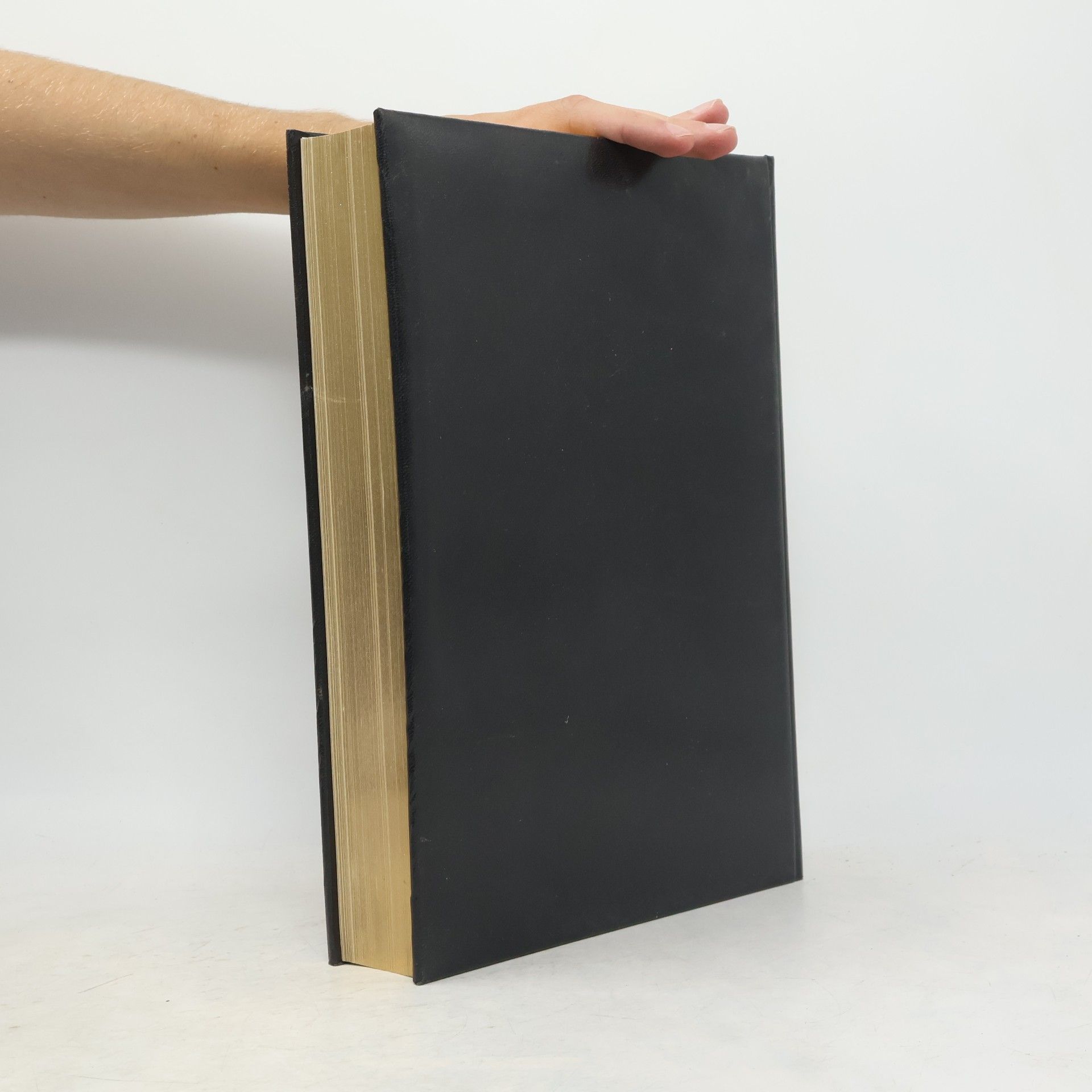 Nagy Képes Biblia