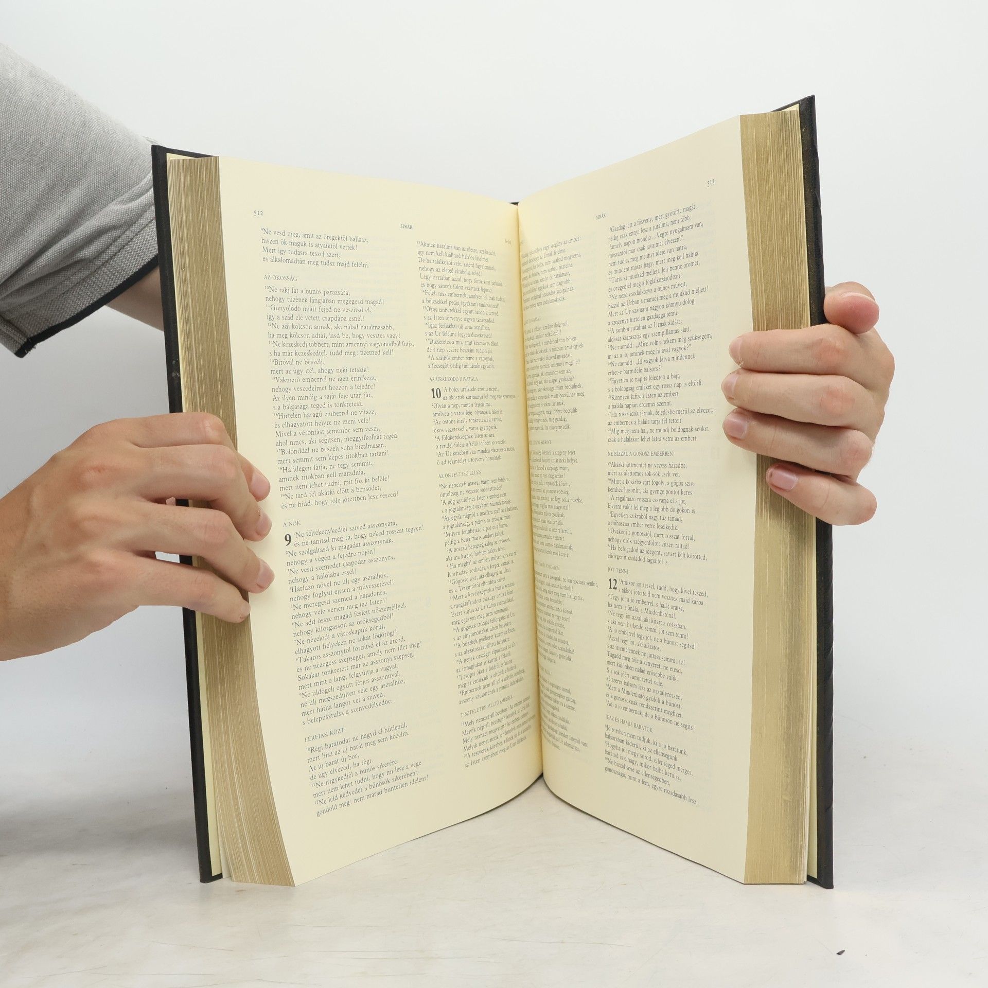 Nagy Képes Biblia