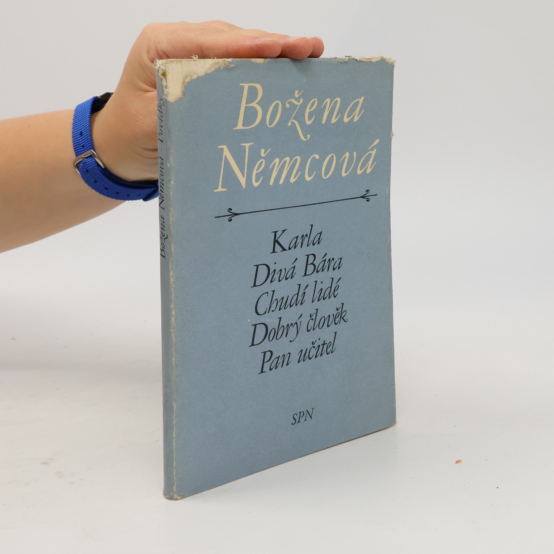 Božena Němcová Karla, Divá Bára, Chudí lidé, Dobrý člověk, Pan učitel