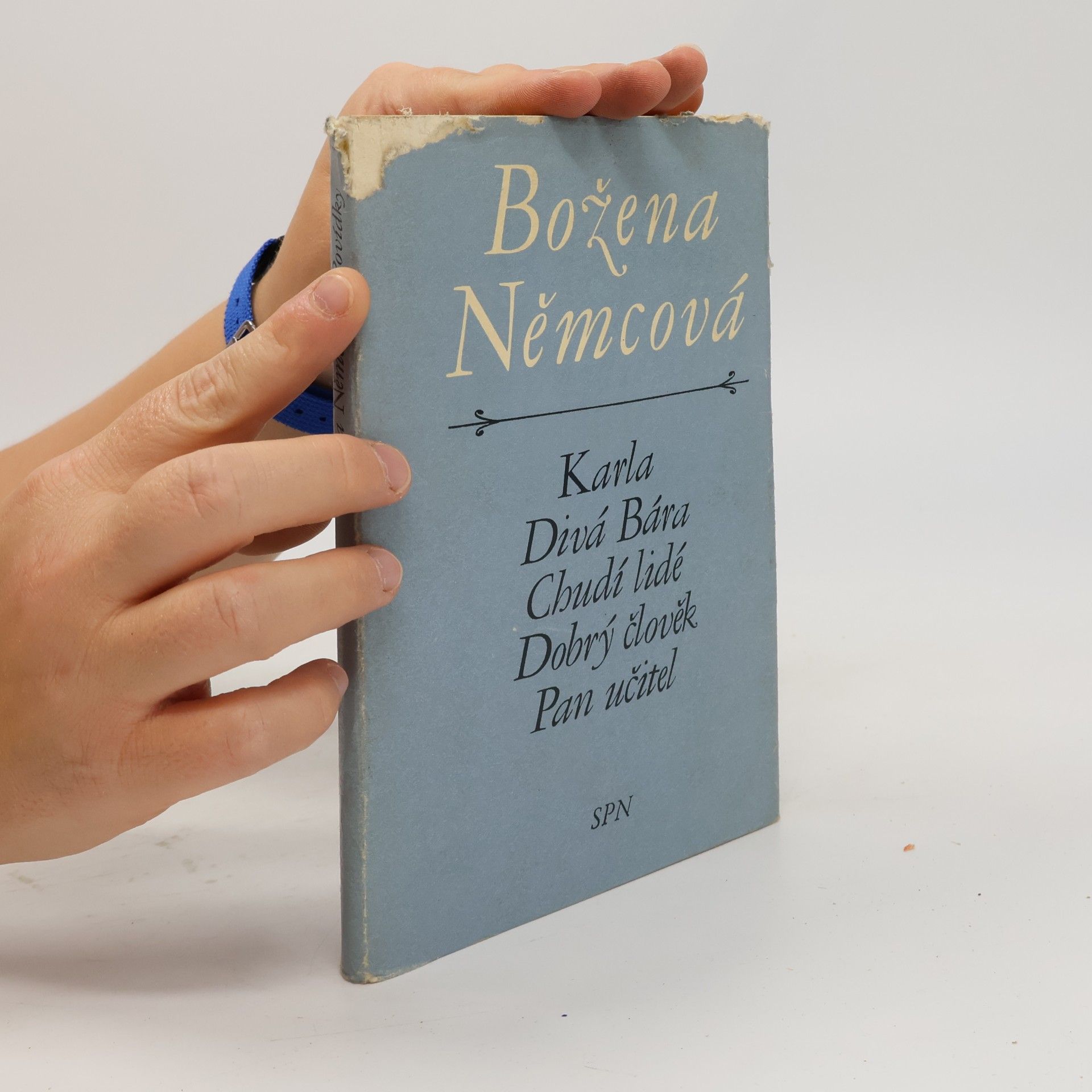 Božena Němcová Karla, Divá Bára, Chudí lidé, Dobrý člověk, Pan učitel