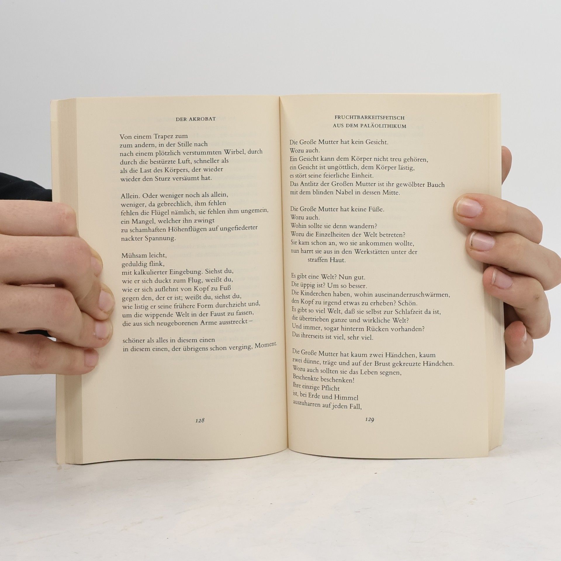 Wisława Szymborska Hundert Freuden