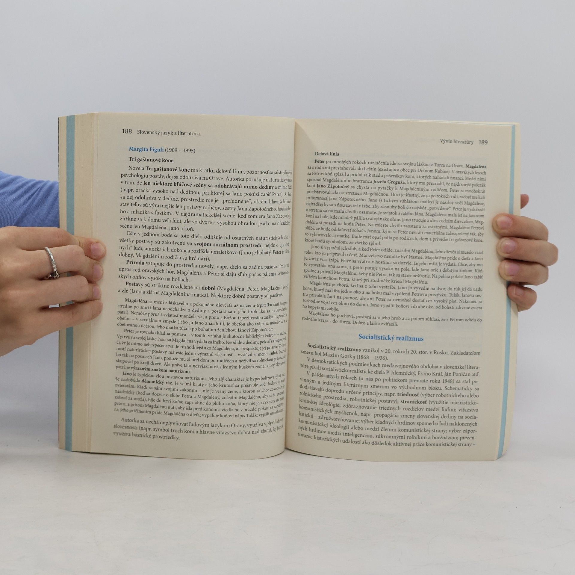 Milada Caltíková Slovenský jazyk a literatúra