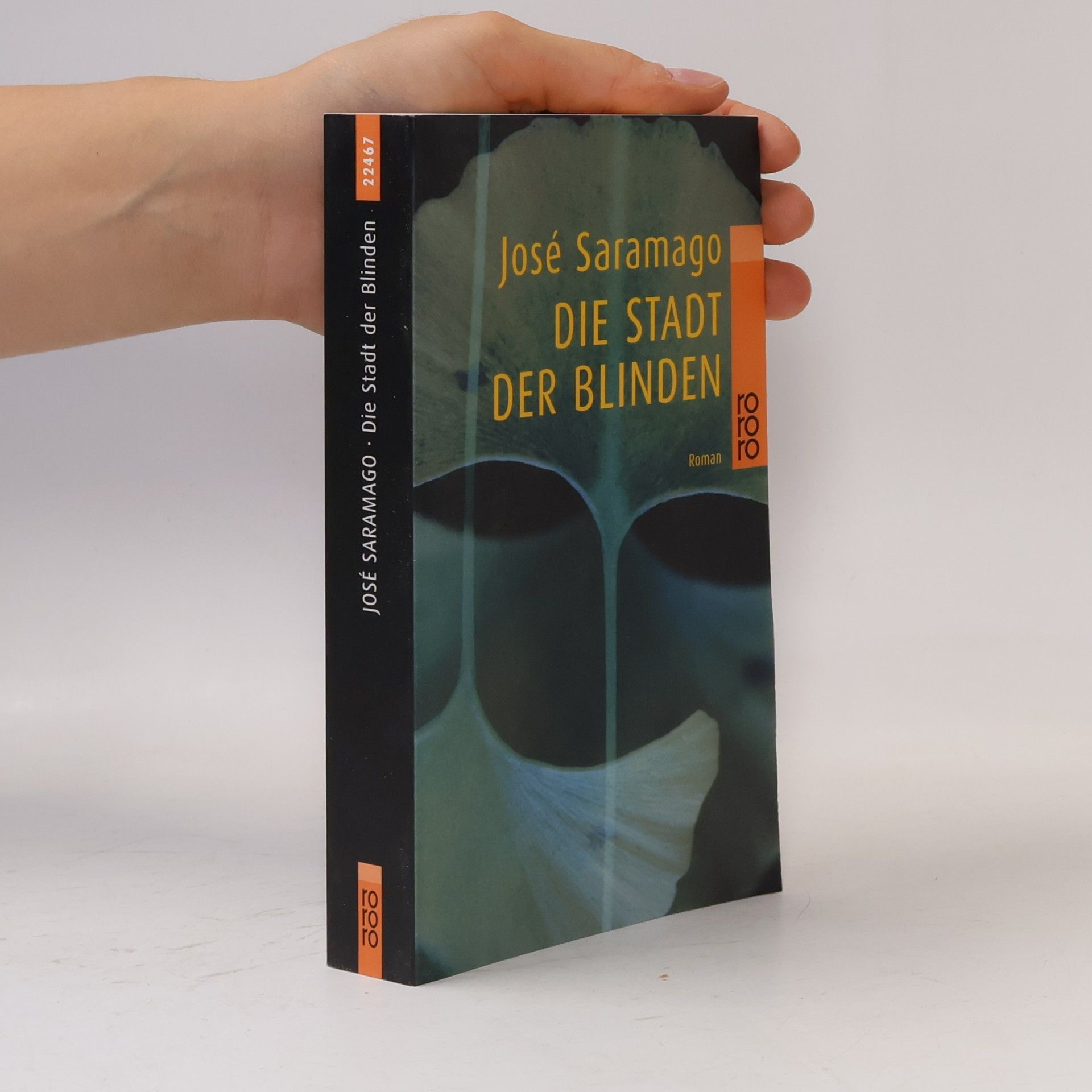 José Saramago Die Stadt der Blinden
