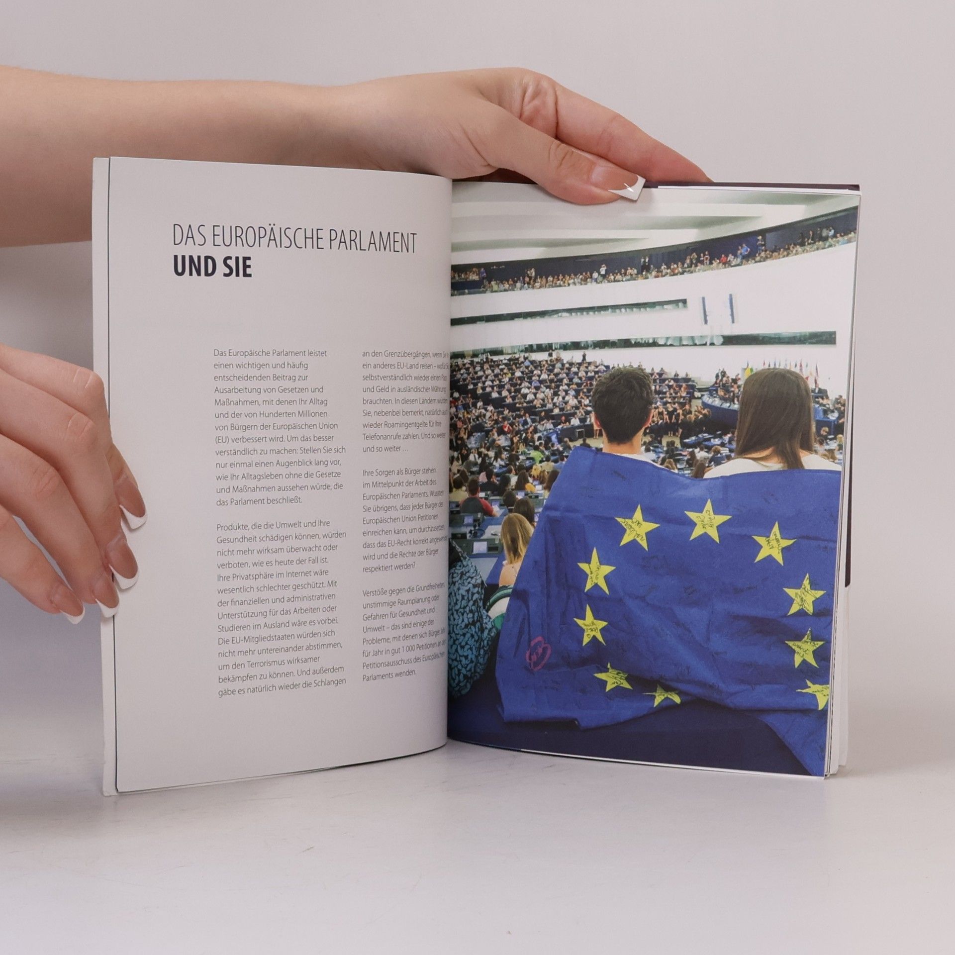Autorenkollektiv Das Europäische Parlament