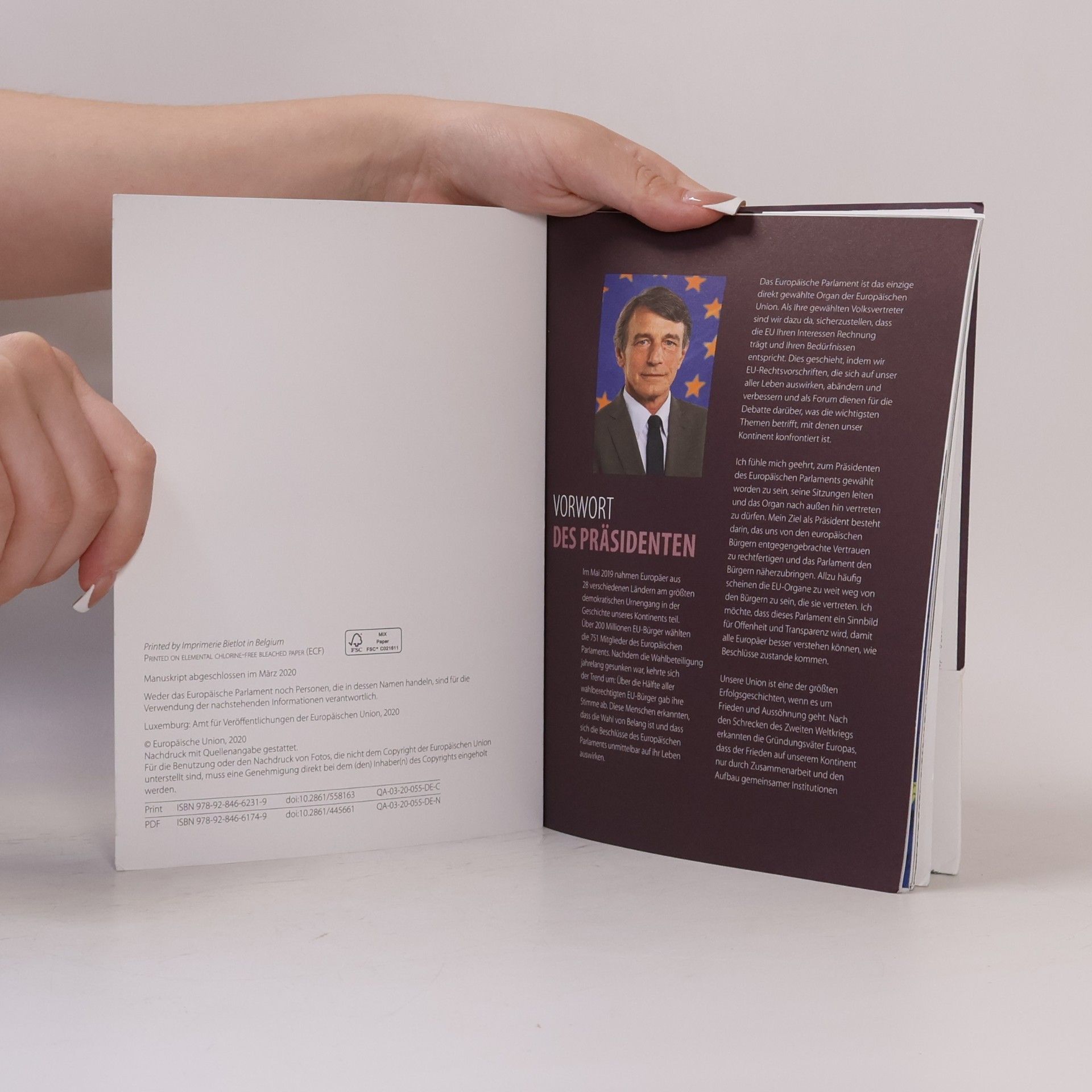 Autorenkollektiv Das Europäische Parlament