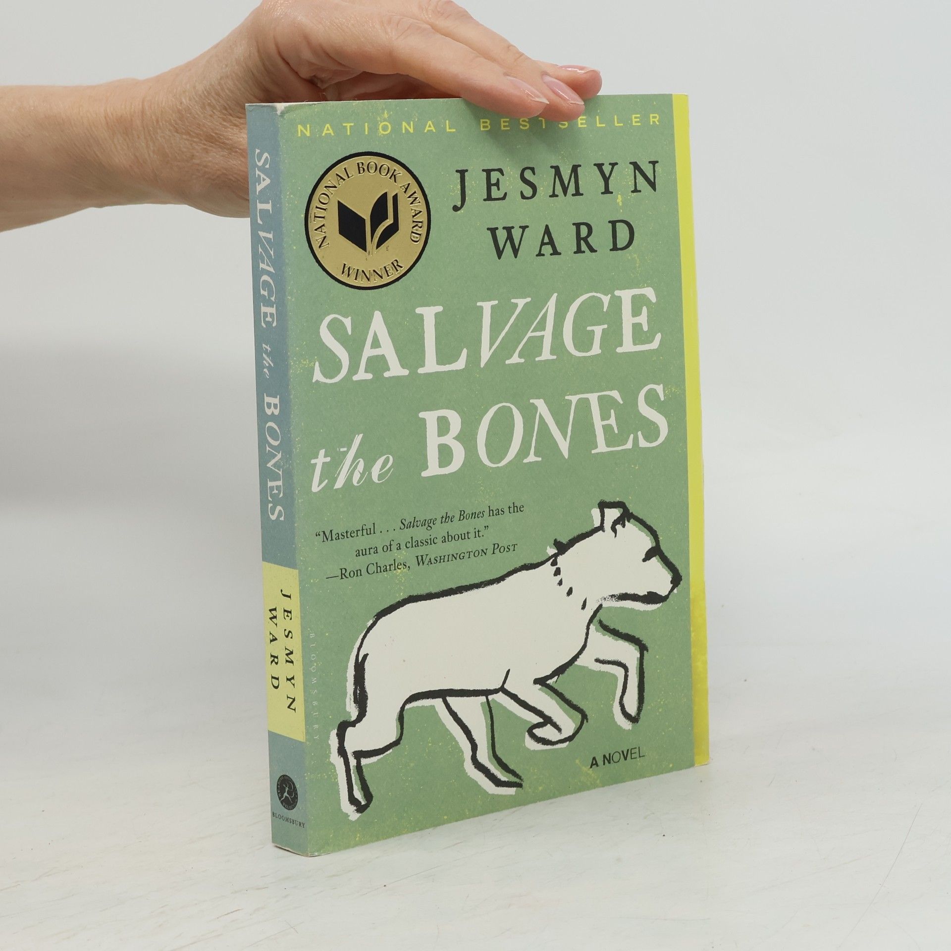 Jesmyn Ward Salvage the Bones