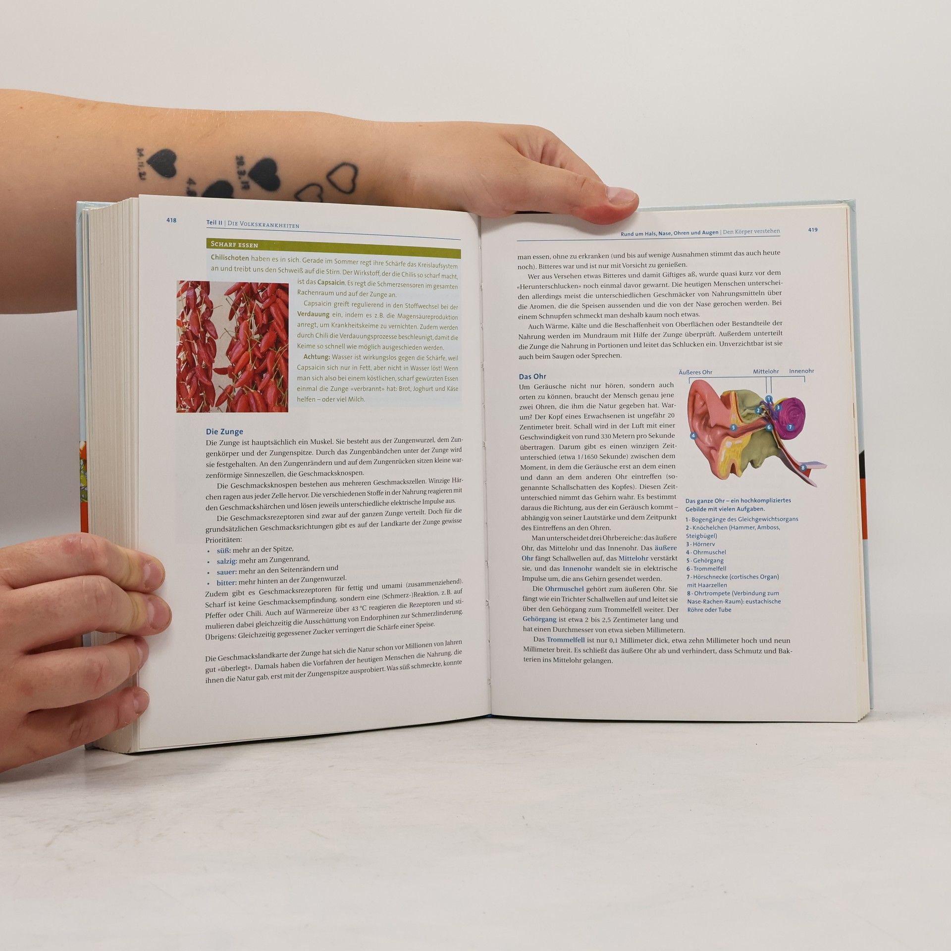 Dietrich Grönemeyers Grönemeyers neues Hausbuch der Gesundheit