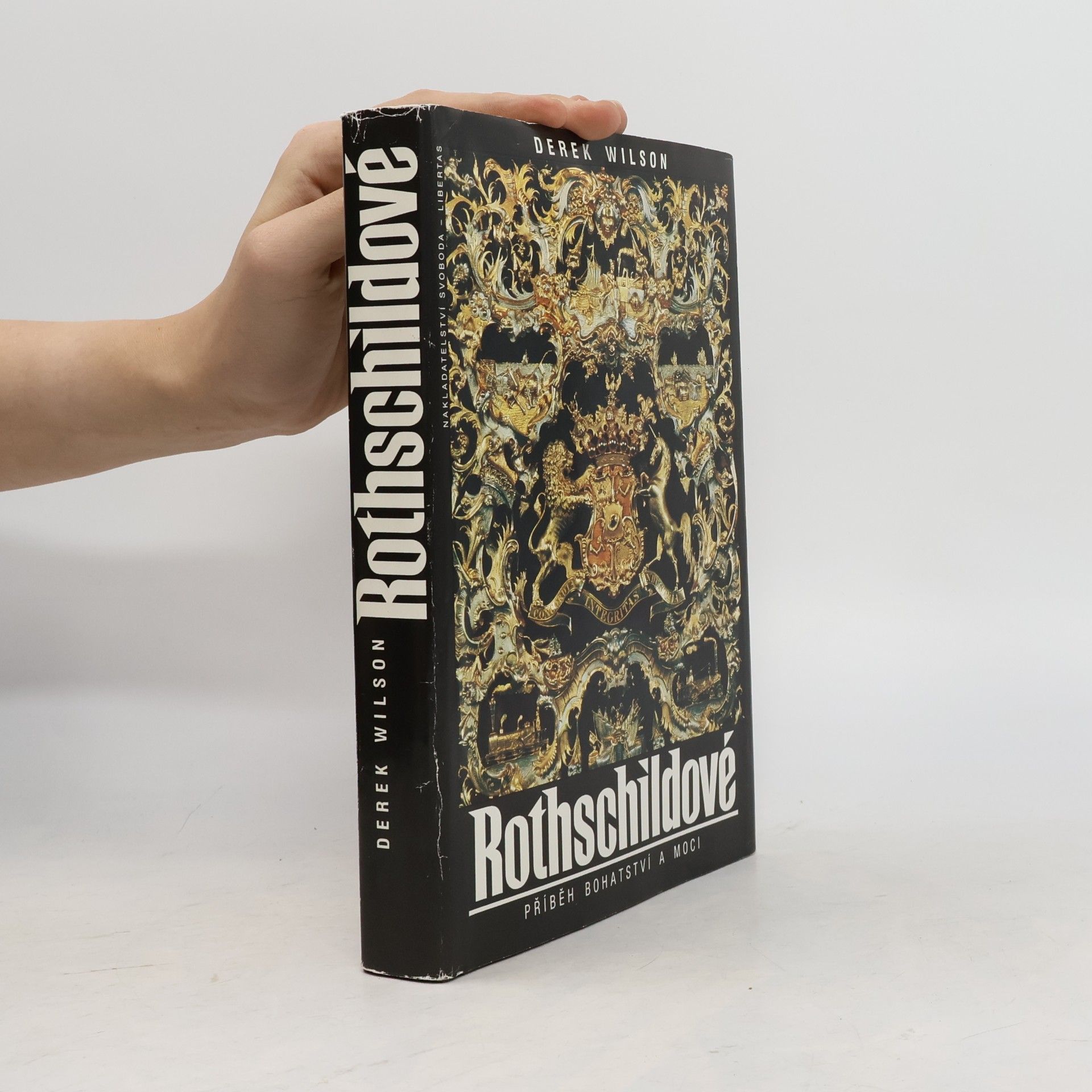 Derek A. Wilson Rothschildové. Příběh bohatství a moci
