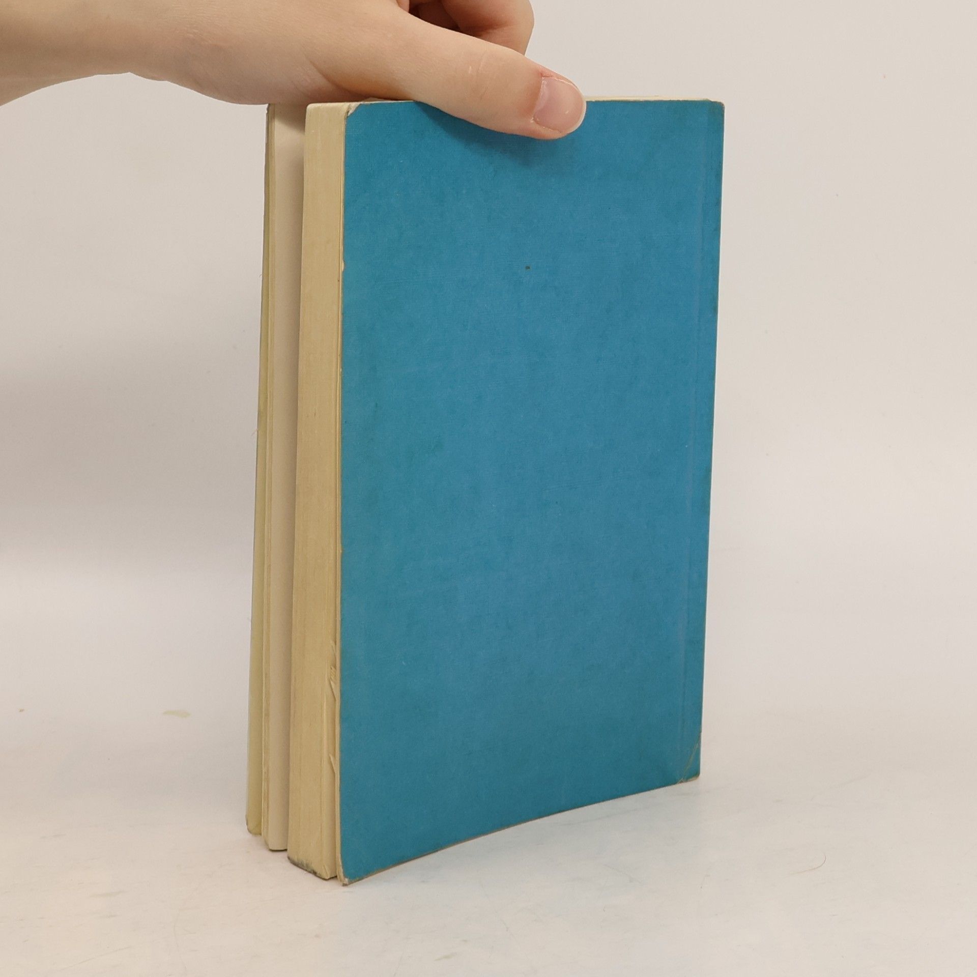 Charles Dickens Guide Novels: Hard Times