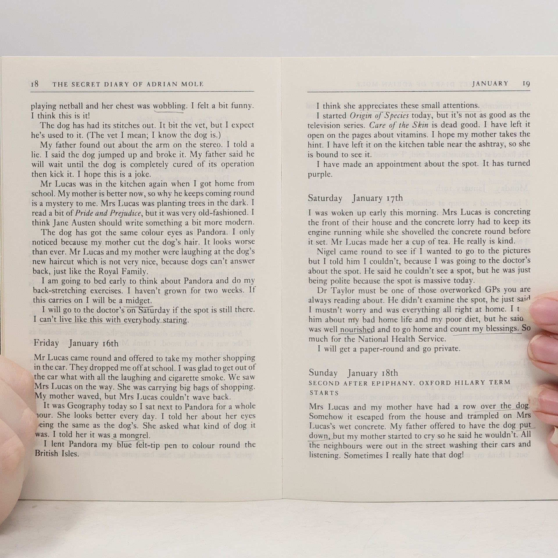 Sue Townsend The Secret Diary of Adrian Mole Aged 13 3/4