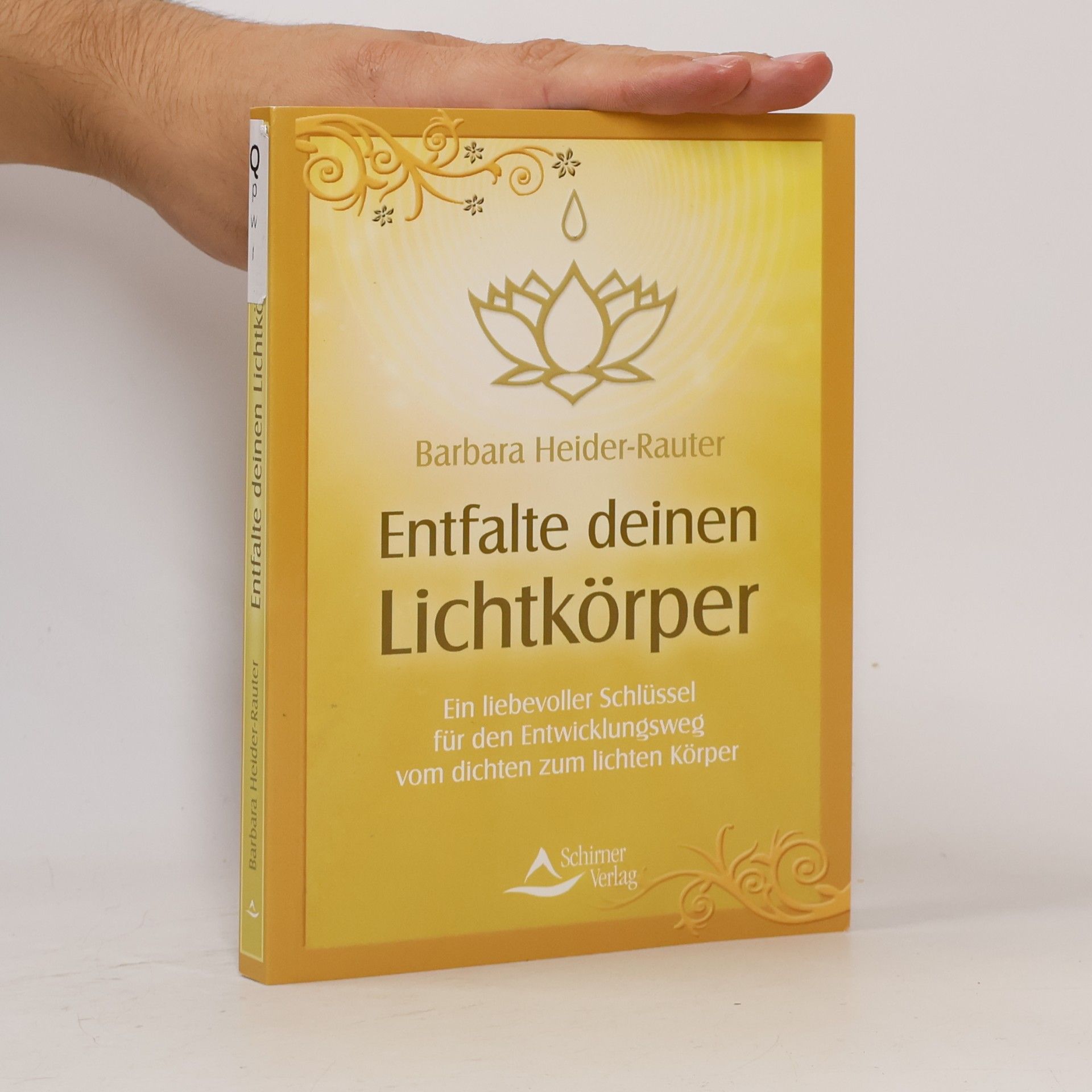Barbara Heider Rauter Entfalte deinen Lichtkörper
