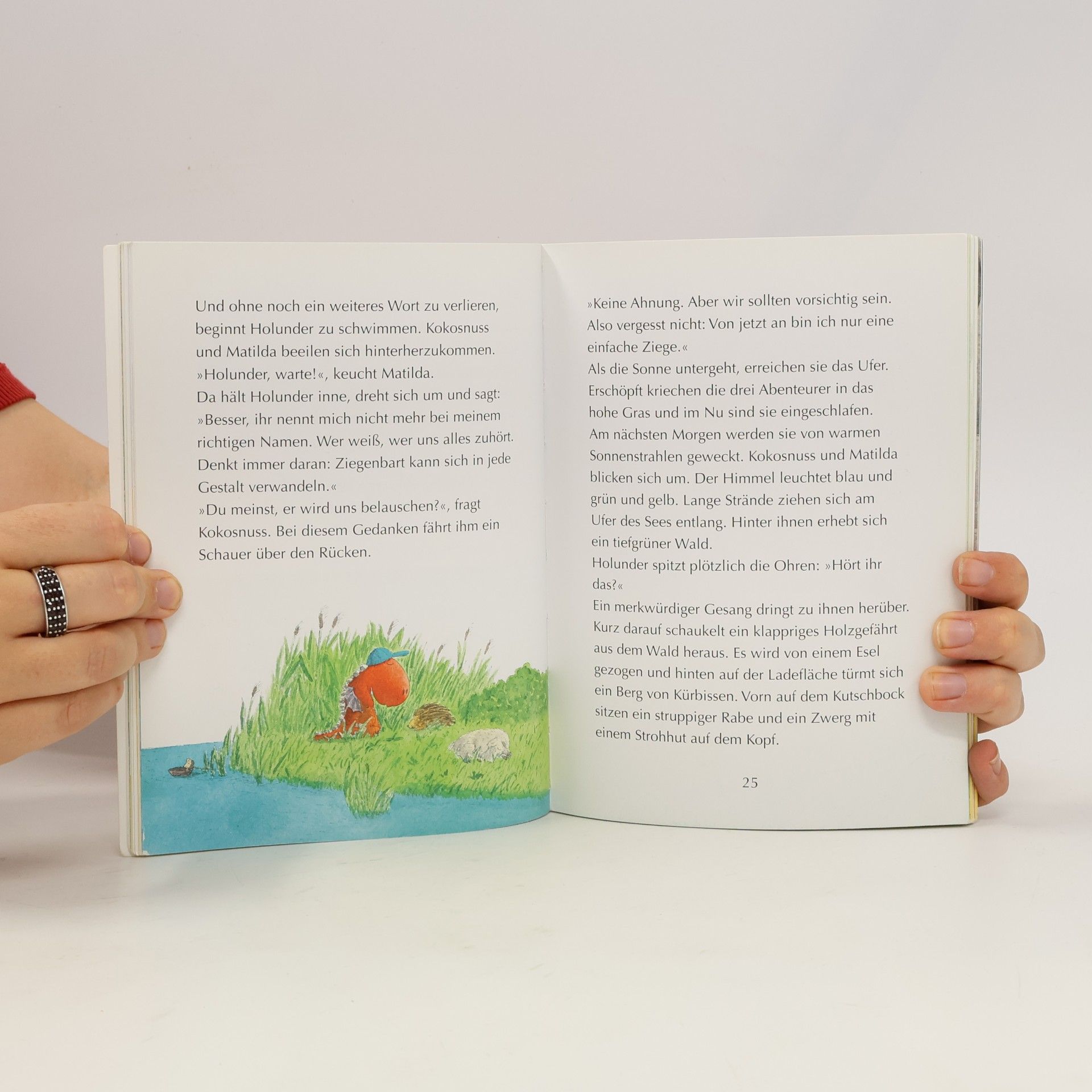 Ingo Siegner Der kleine Drache Kokosnuss und der große Zauberer