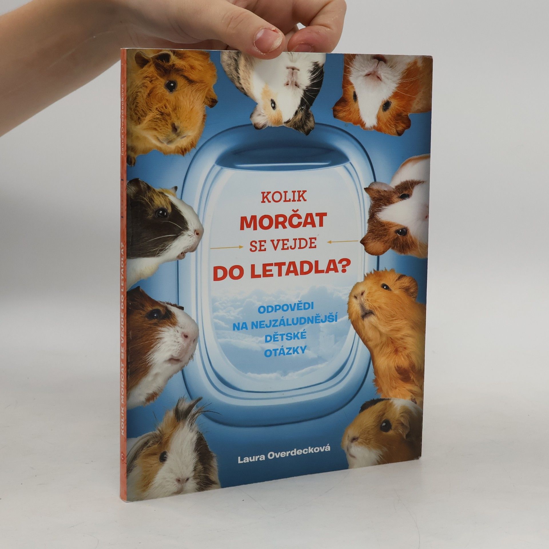 Laura Overdeck Kolik morčat se vejde do letadla?