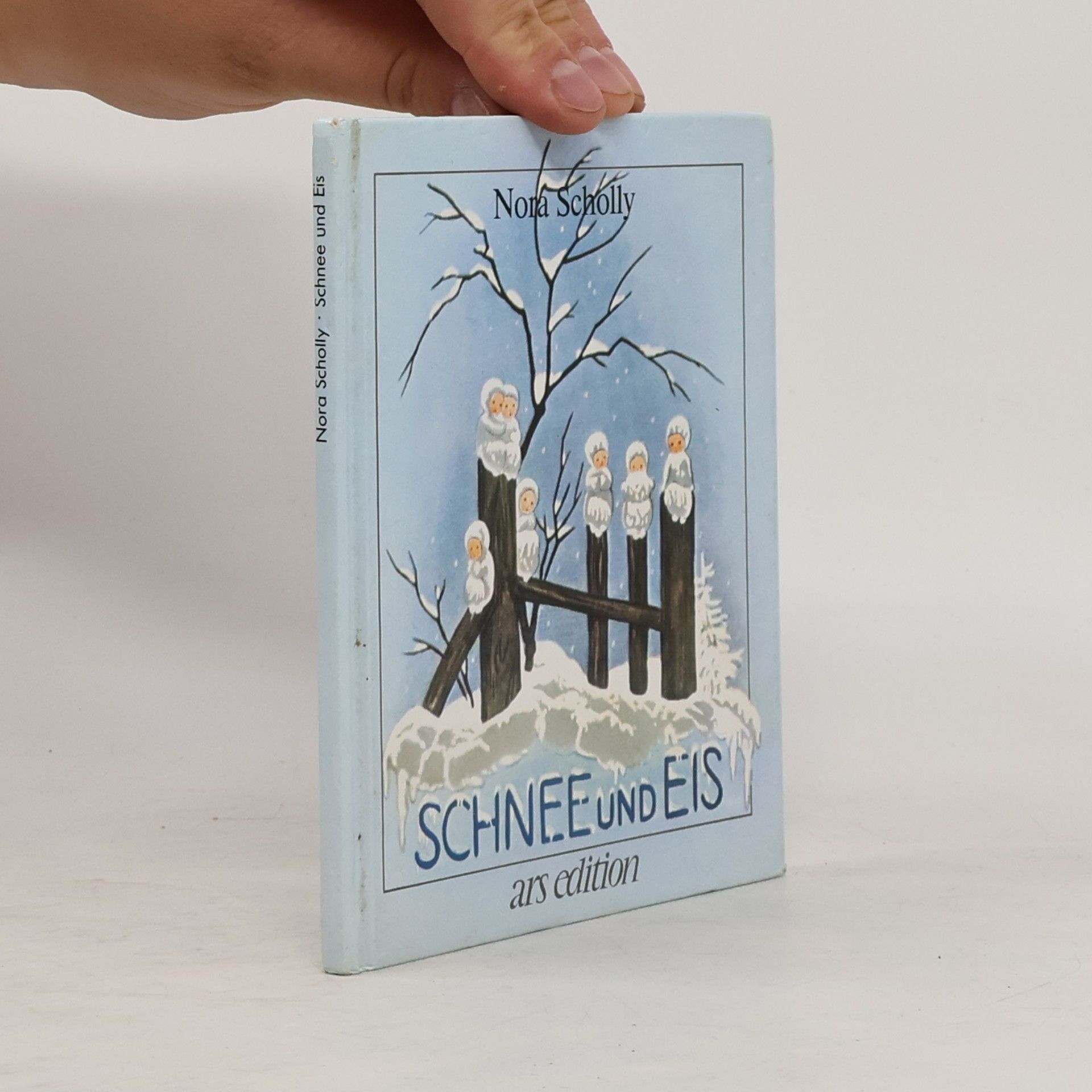 Nora Scholly Schnee und Eis