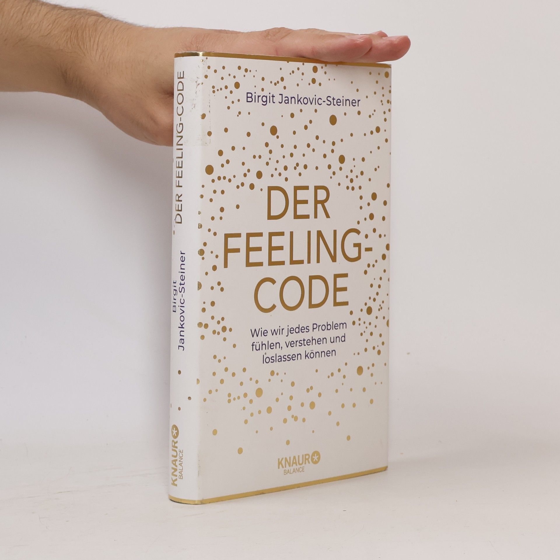 Birgit Jankovic-Steiner Der Feeling-Code