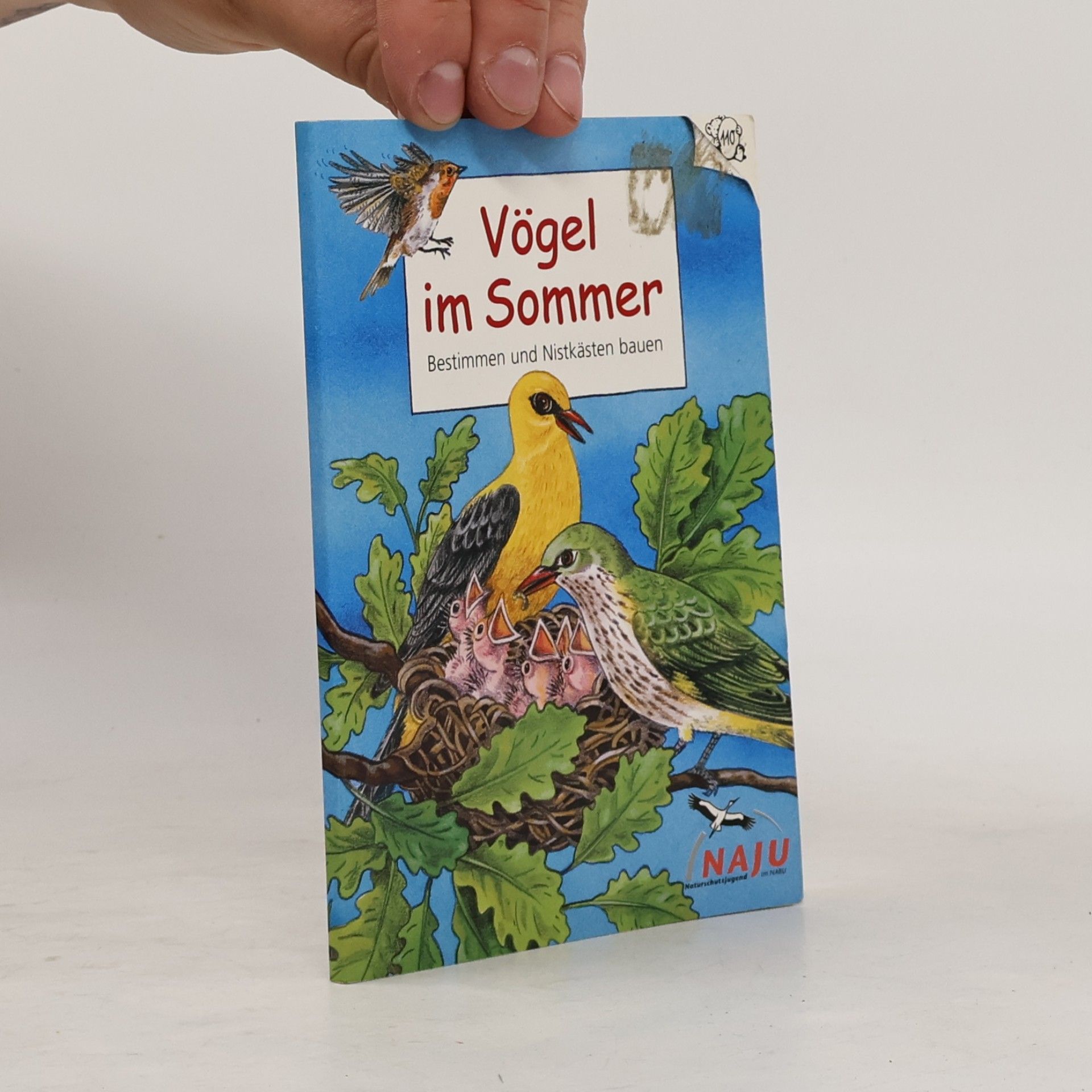 Autorenkollektiv Vögel im Sommer