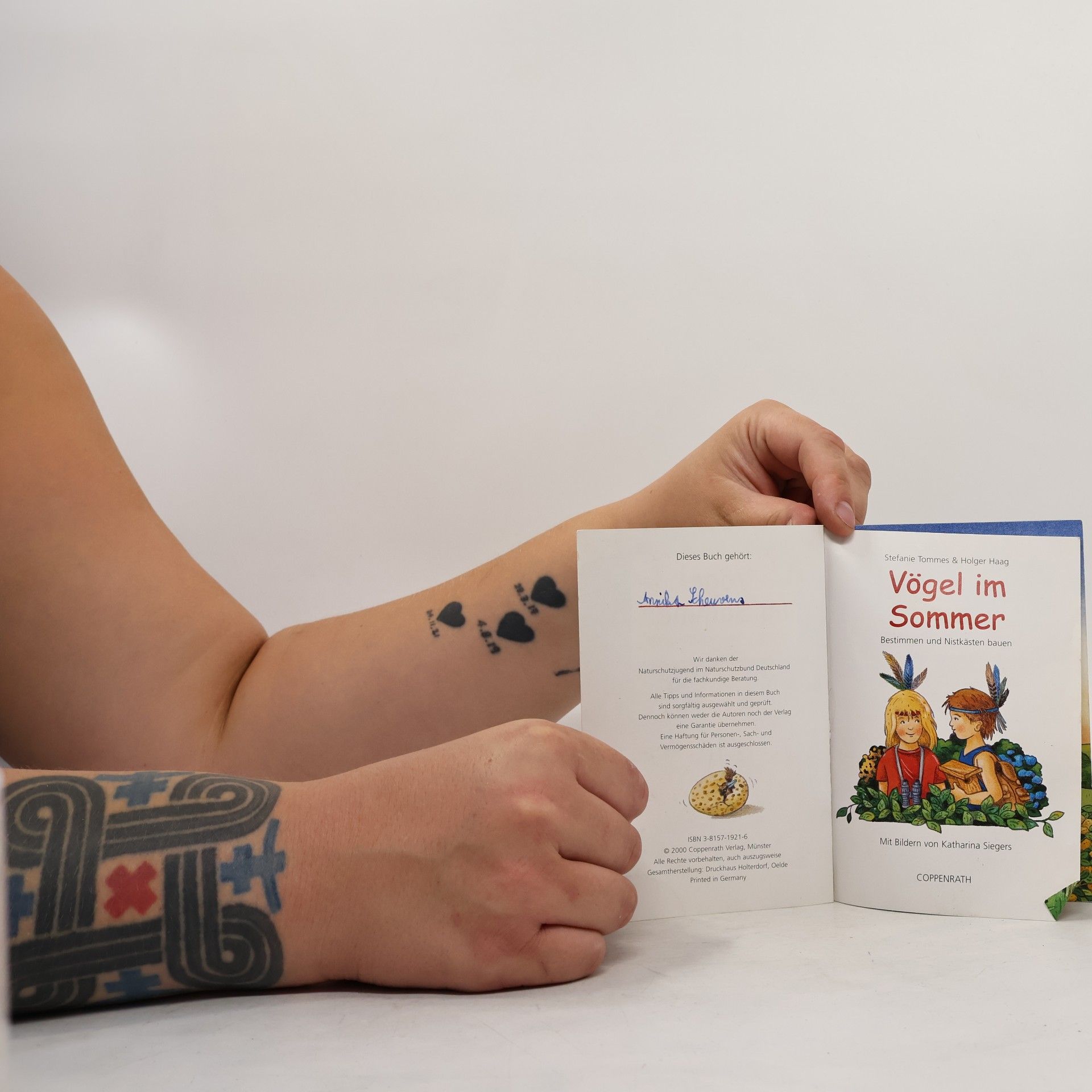 Autorenkollektiv Vögel im Sommer