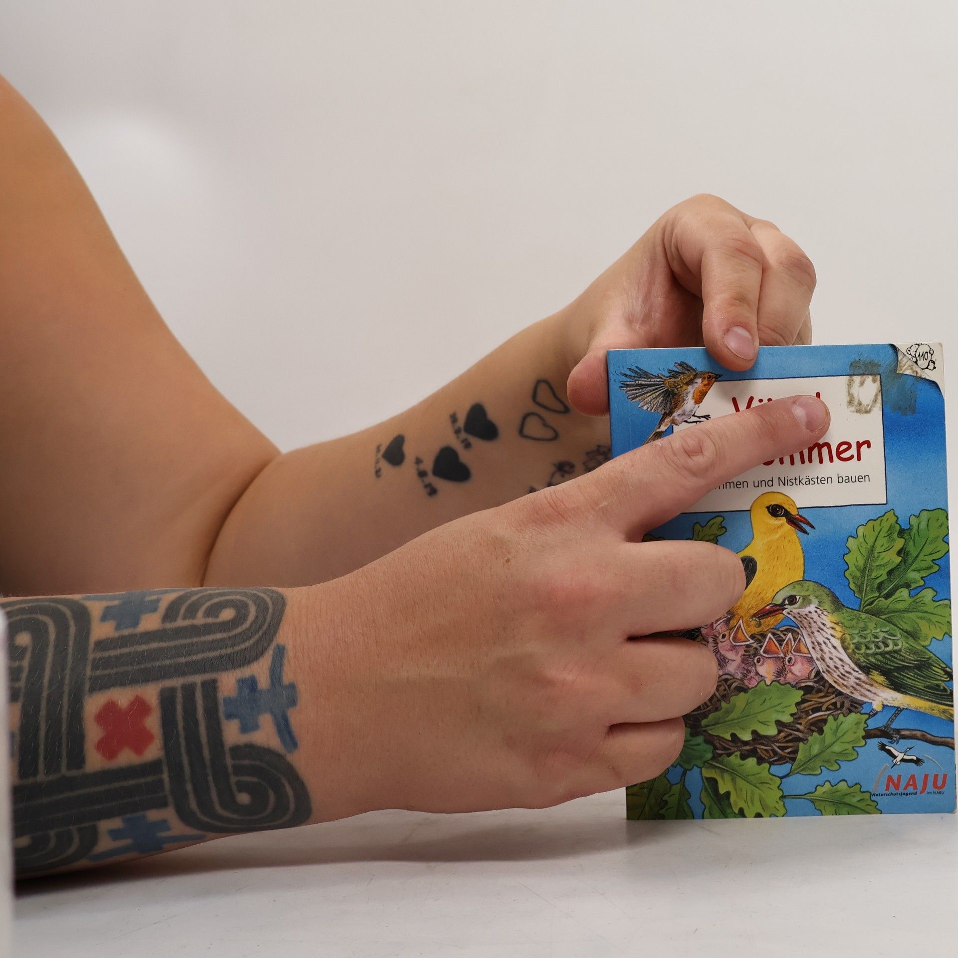 Autorenkollektiv Vögel im Sommer