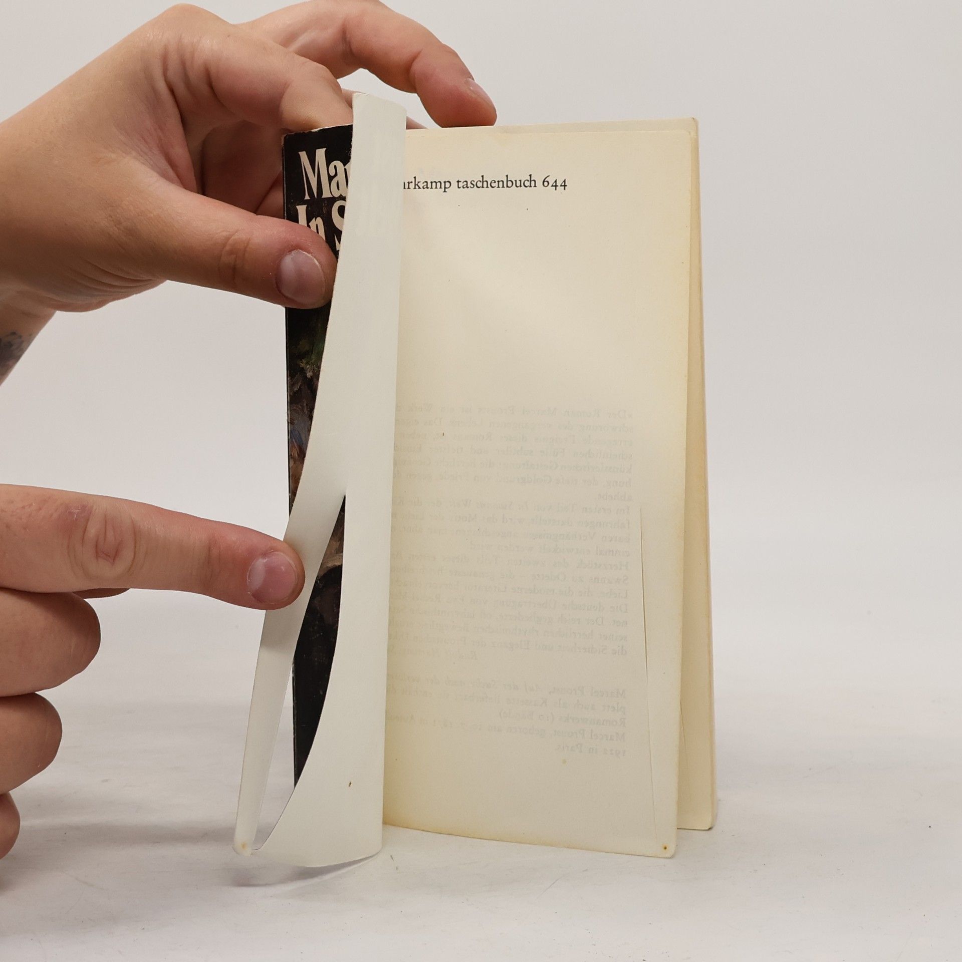 Marcel Proust Auf der Suche nach der verlorenen Zeit